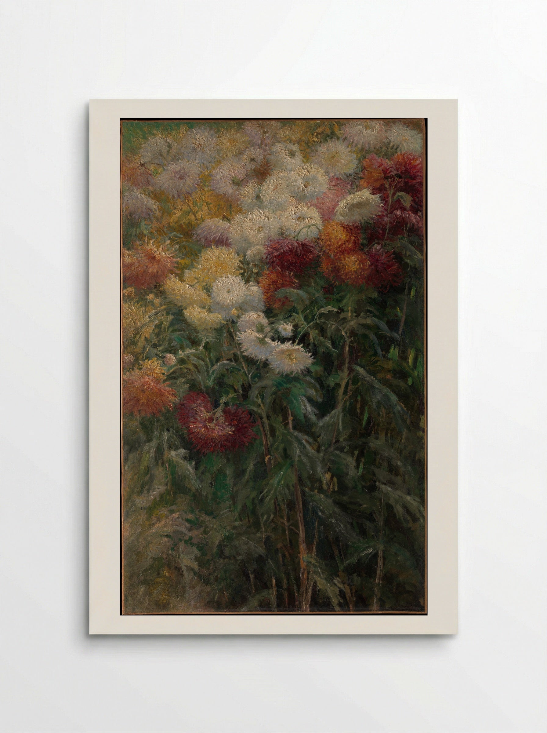 Chrysanthemums in the Garden at Petit-Gennevilliers - Gustave Caillebotte - Poster