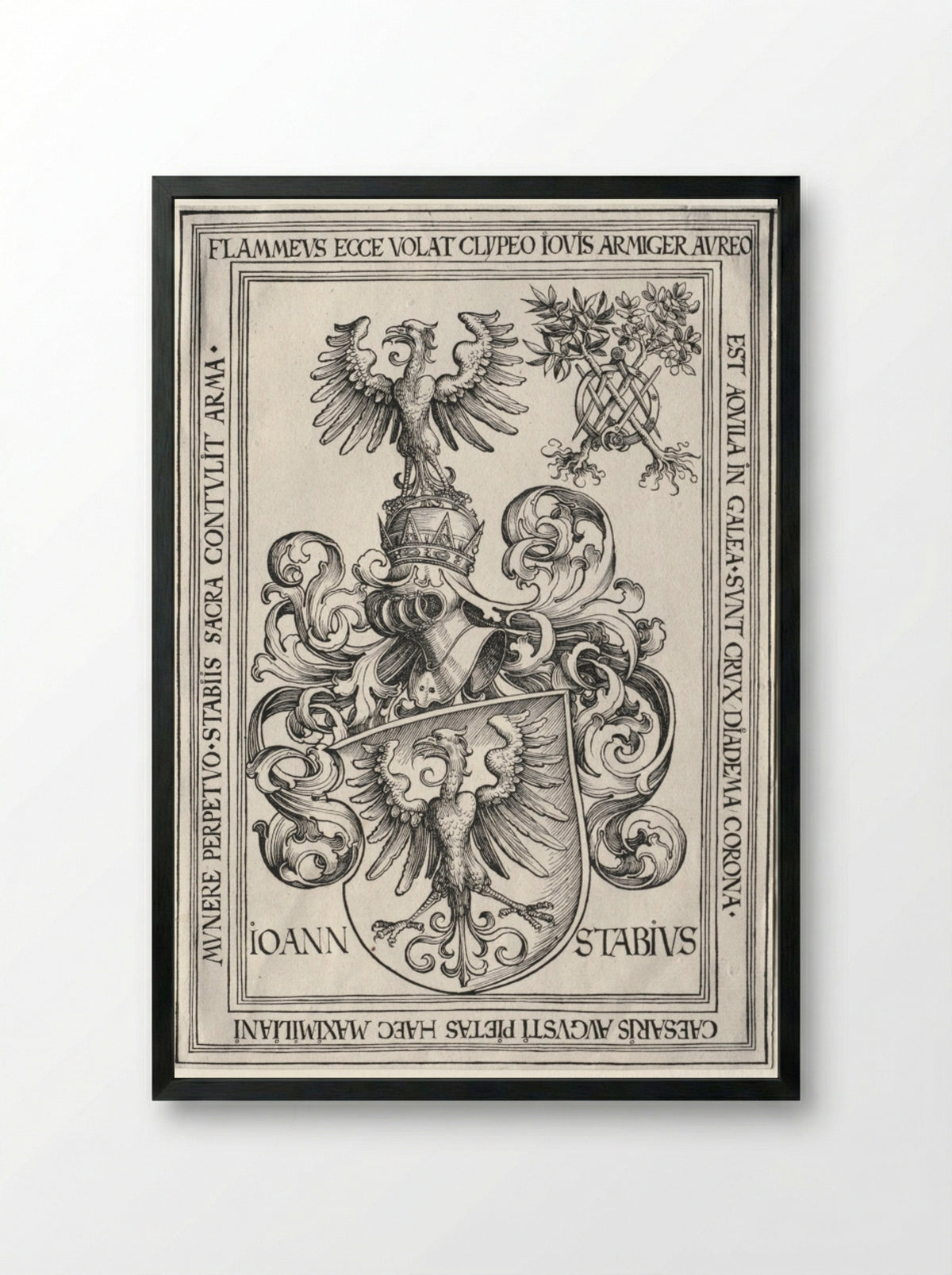 Coat of Arms of Johann Stabius - Wolf Traut - Framed Print Black