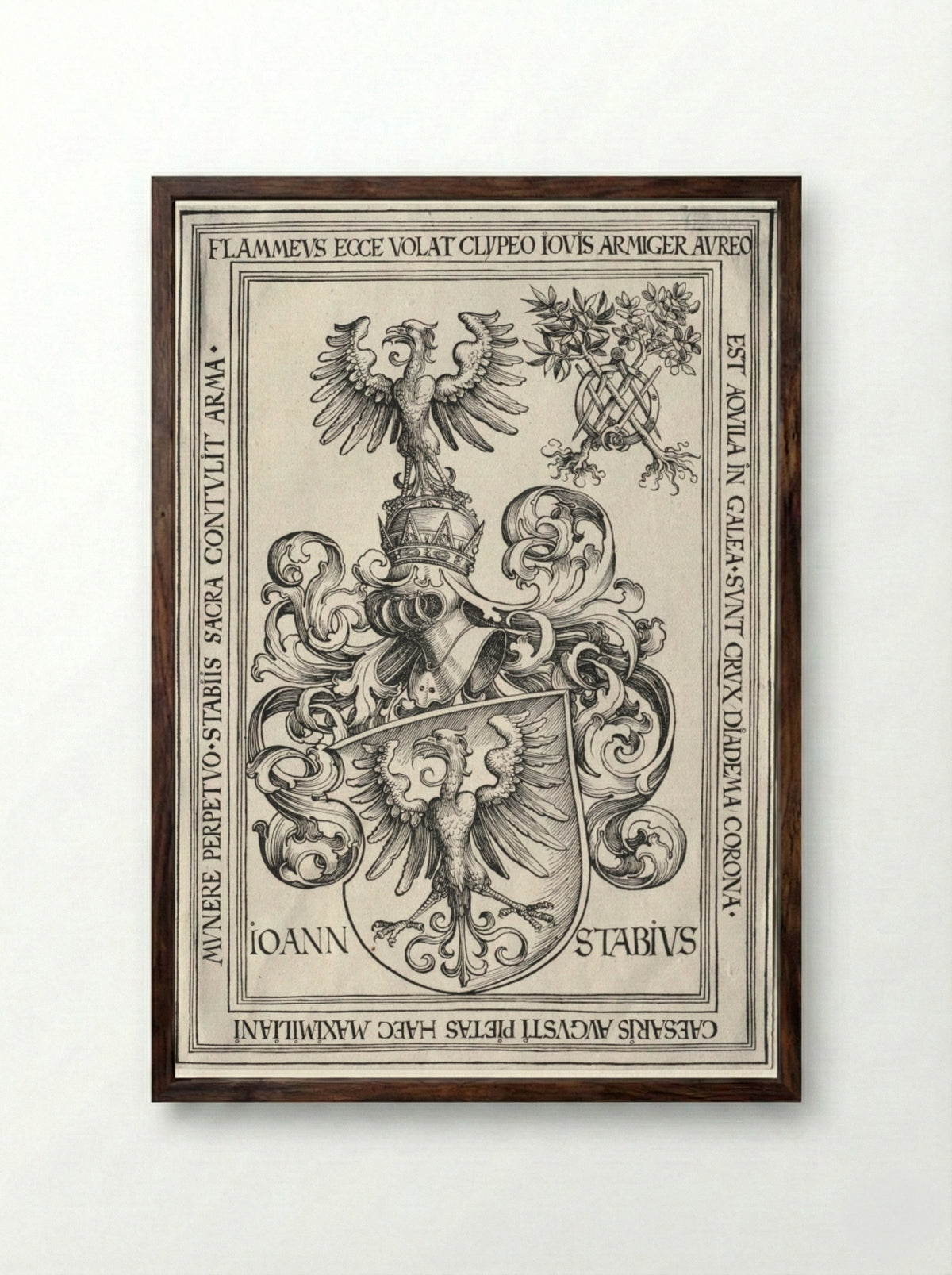 Coat of Arms of Johann Stabius - Wolf Traut - Framed Print Dark Wood
