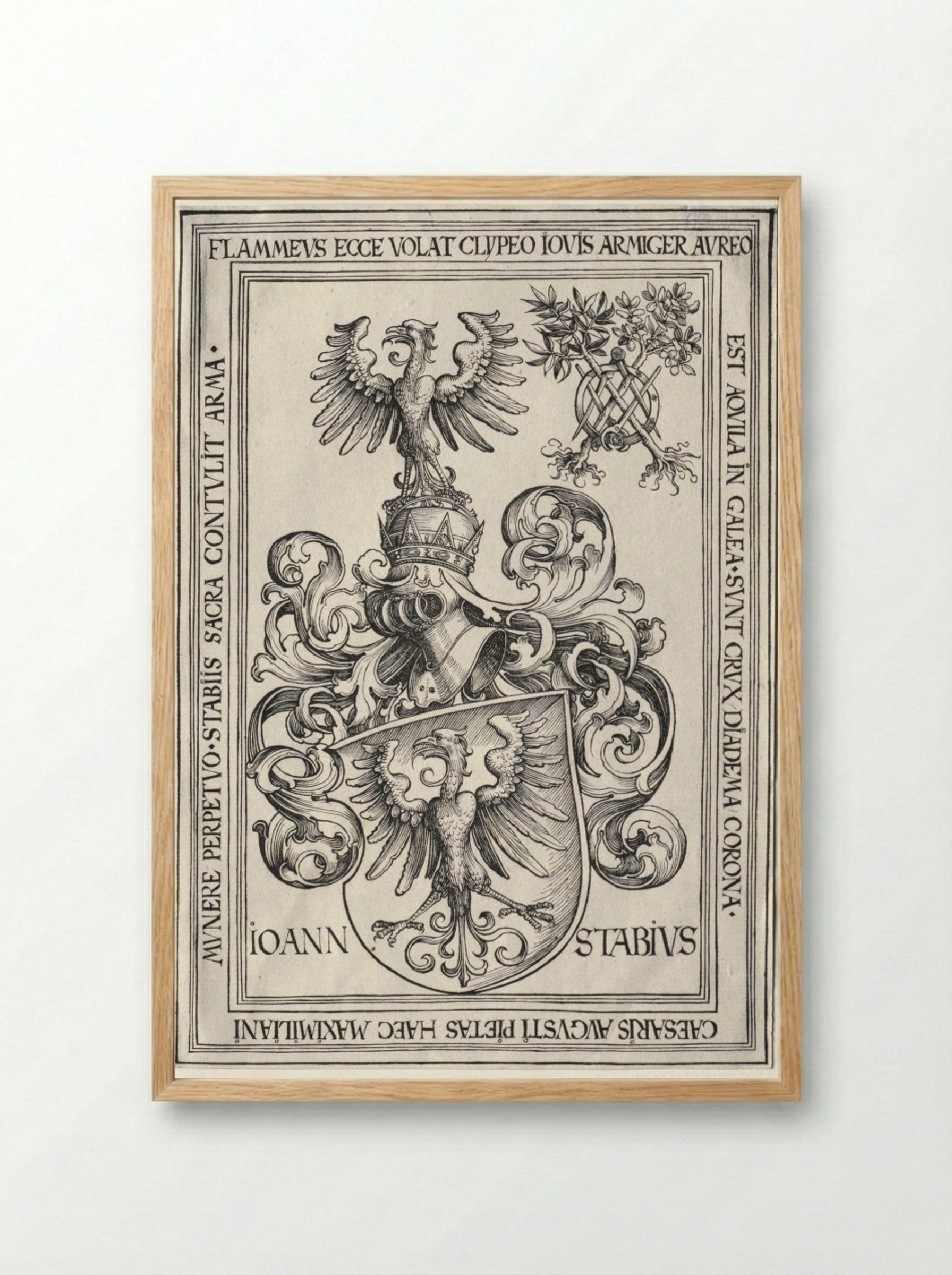 Coat of Arms of Johann Stabius - Wolf Traut - Framed Print Wood