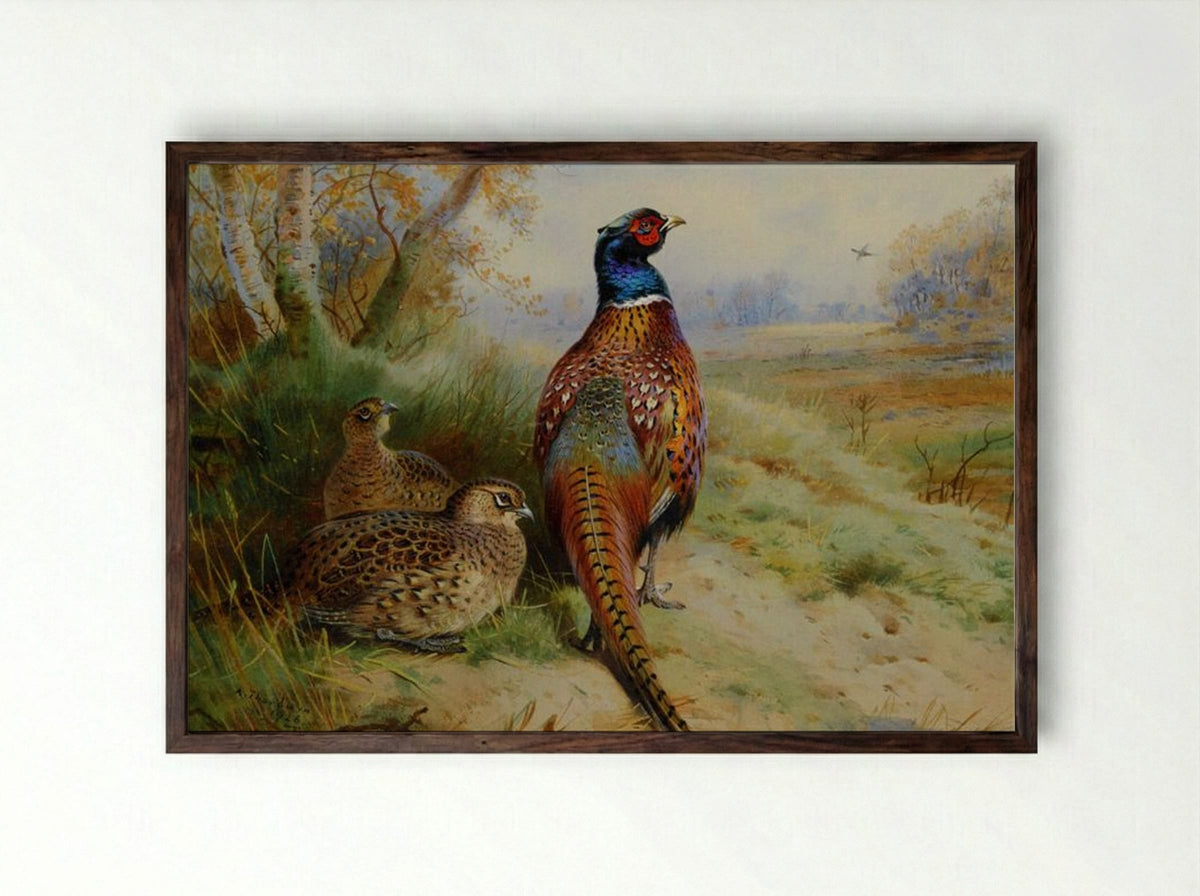 Cock and Hen Pheasant at the Edge of a Wood - Archibald Thorburn - Framed Print Dark Wood