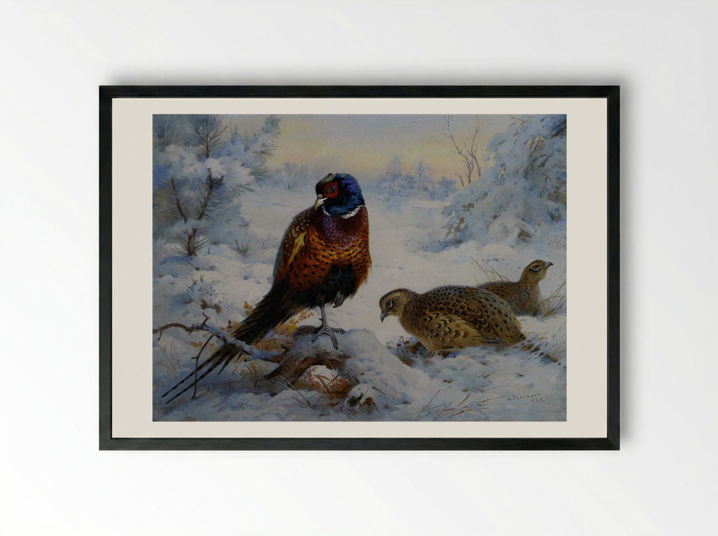Cock and Hen Pheasant in Winter - Archibald Thorburn - Framed Print Black