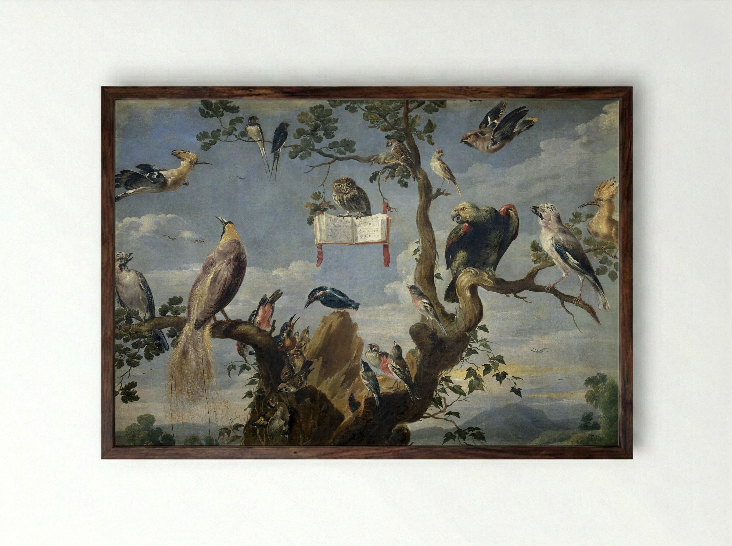 Concert of Birds - Frans Snyders - Framed Print Dark Wood