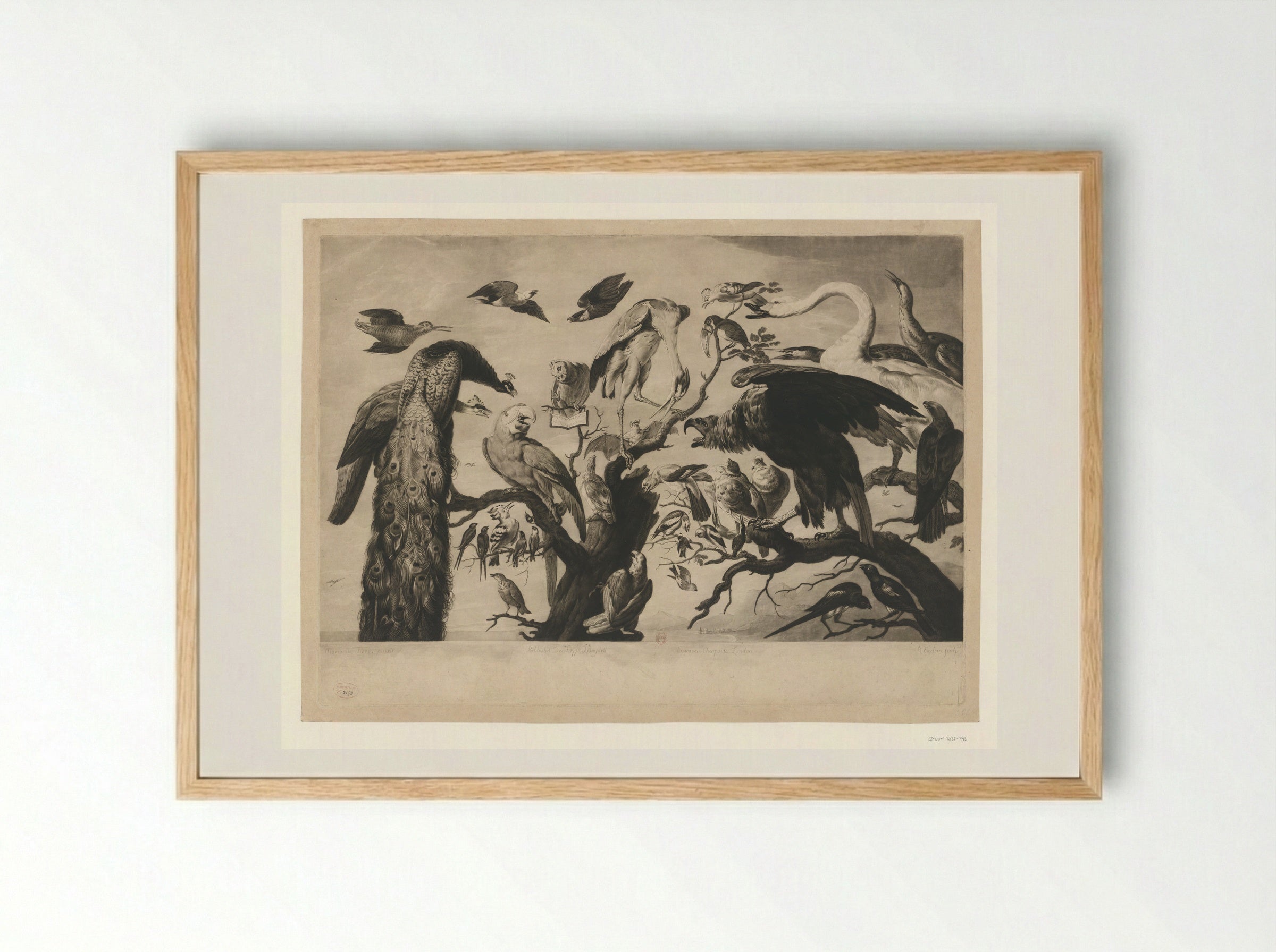 Concert of Birds - Richard Earlom - Framed Print Wood