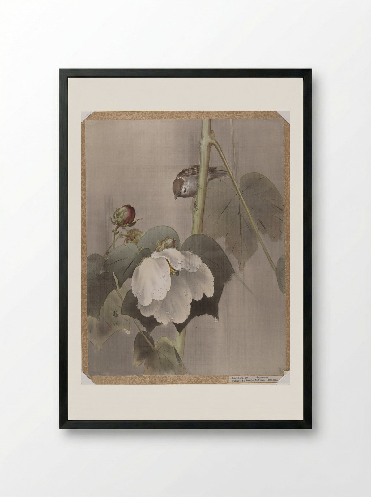Cotton Rose Mallows in the Rain - Okada Baison - Framed Print Black