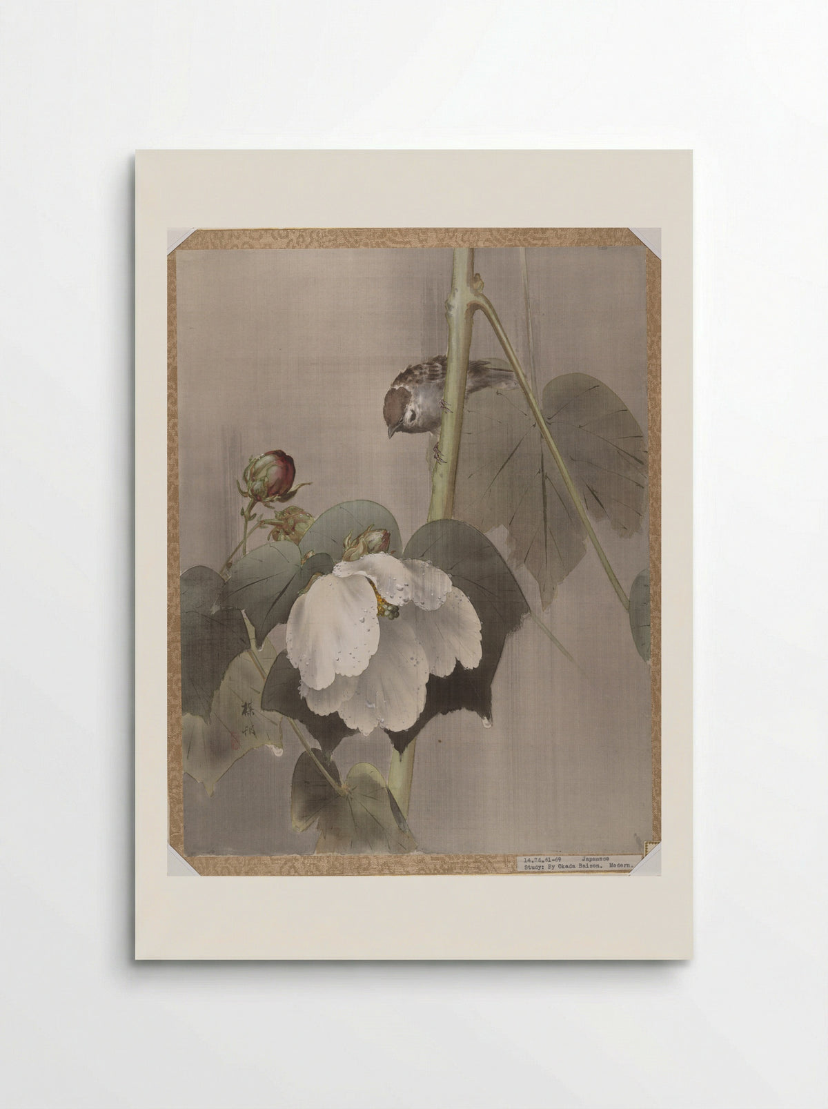 Cotton Rose Mallows in the Rain - Okada Baison - Poster