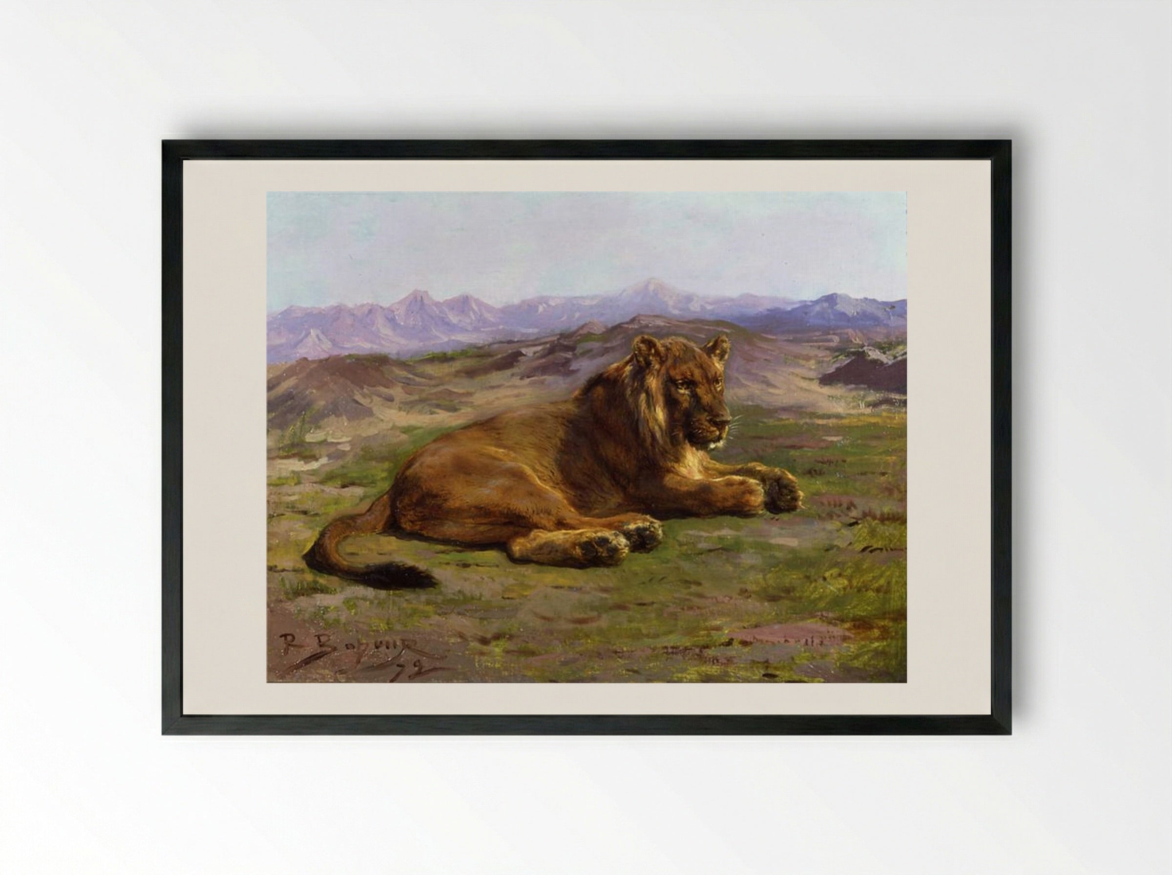 Couching Lion - Rosa Bonheur - Framed Print Black