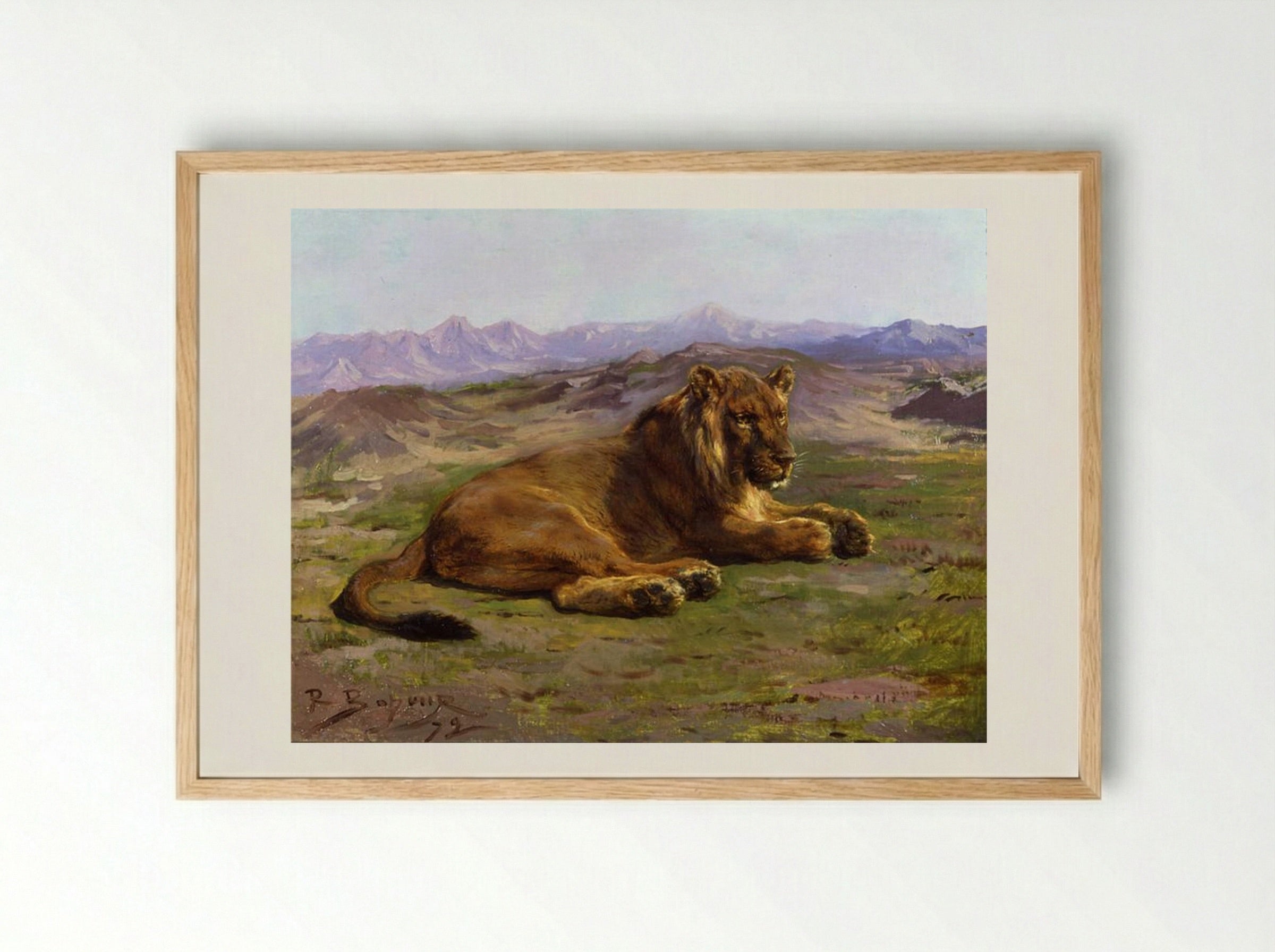 Couching Lion - Rosa Bonheur - Framed Print Wood