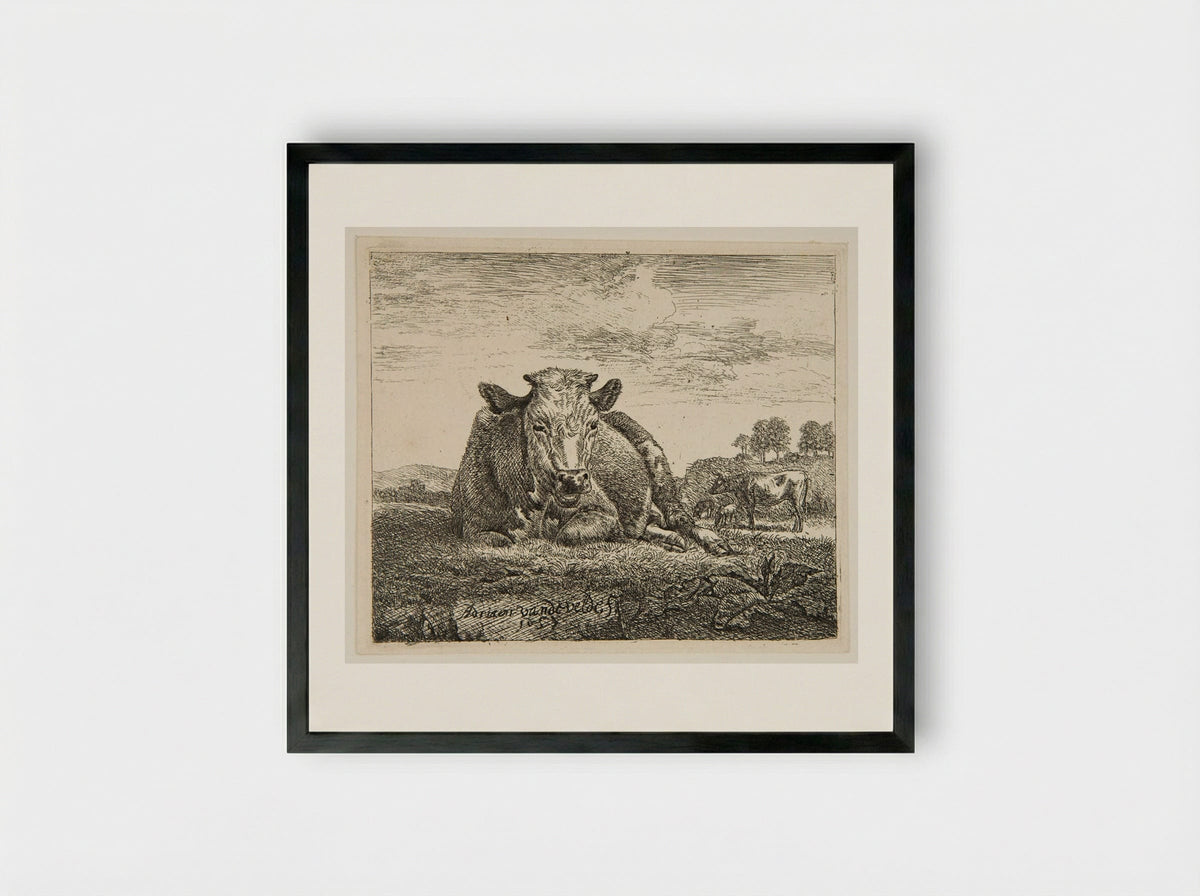 Cow Lying Down - Adriaen van de Velde - Framed Print Black