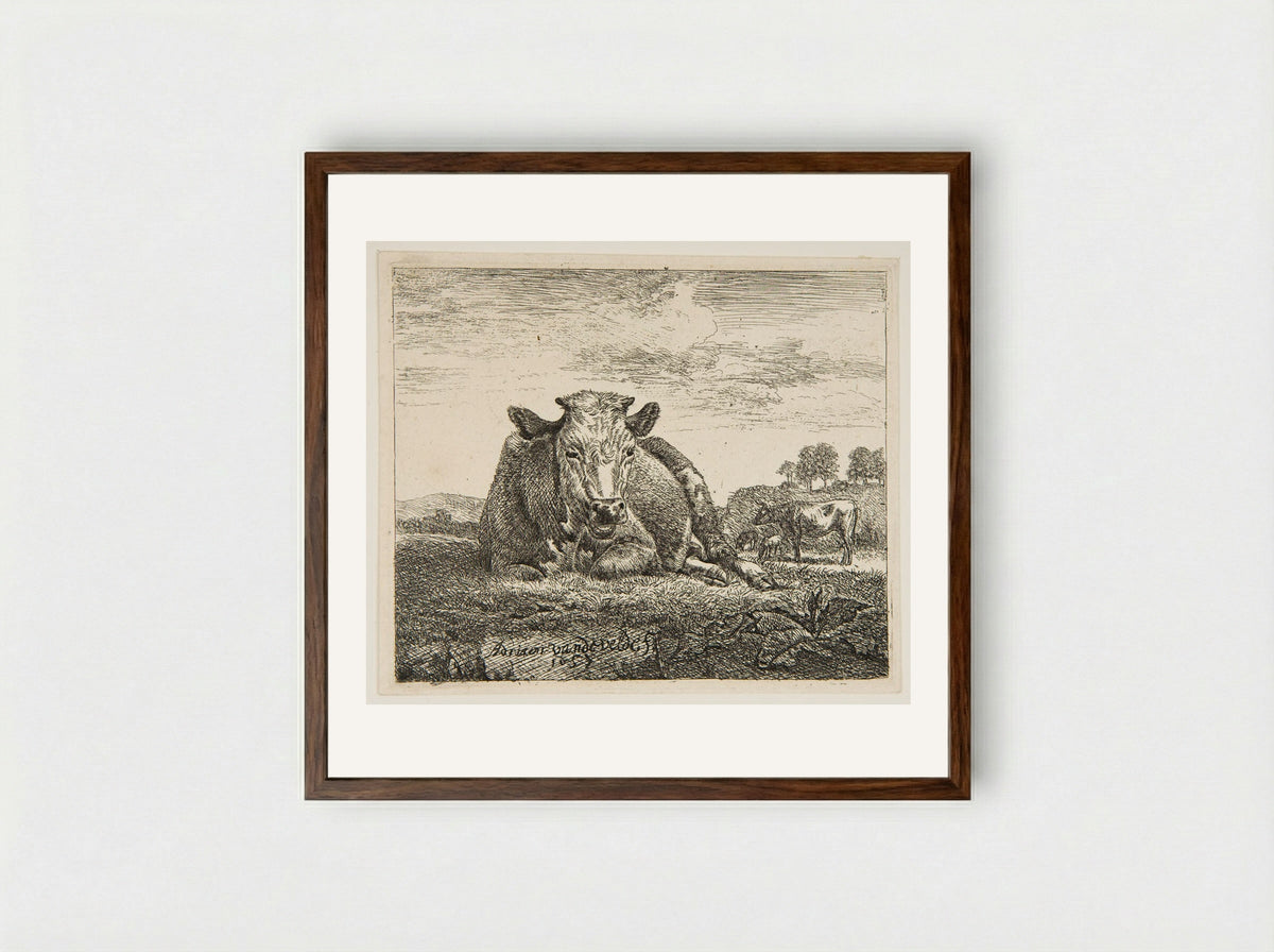 Cow Lying Down - Adriaen van de Velde - Framed Print Dark Wood