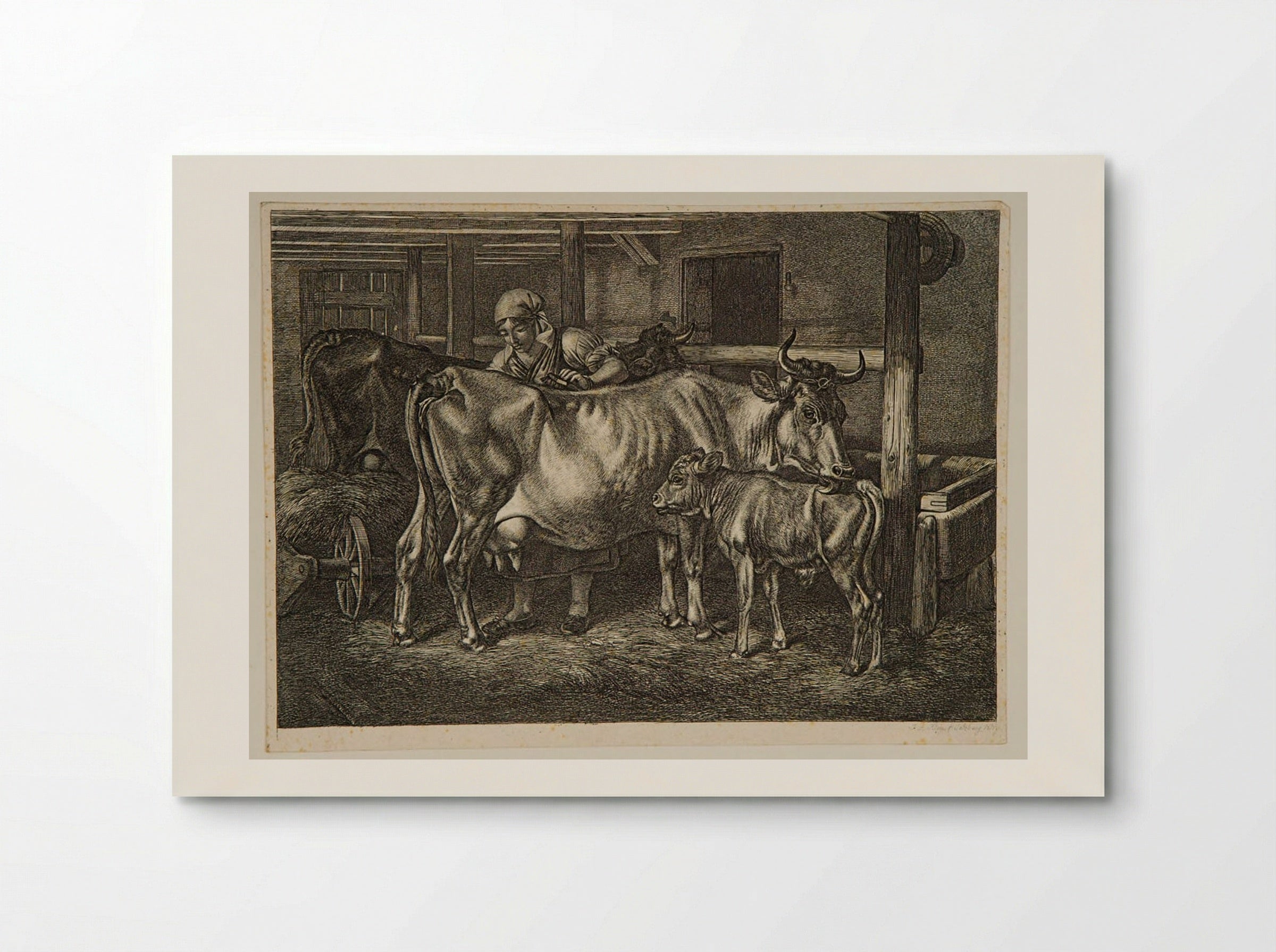 Cows and Calf in a Stable - Johann Adam Klein - Poster