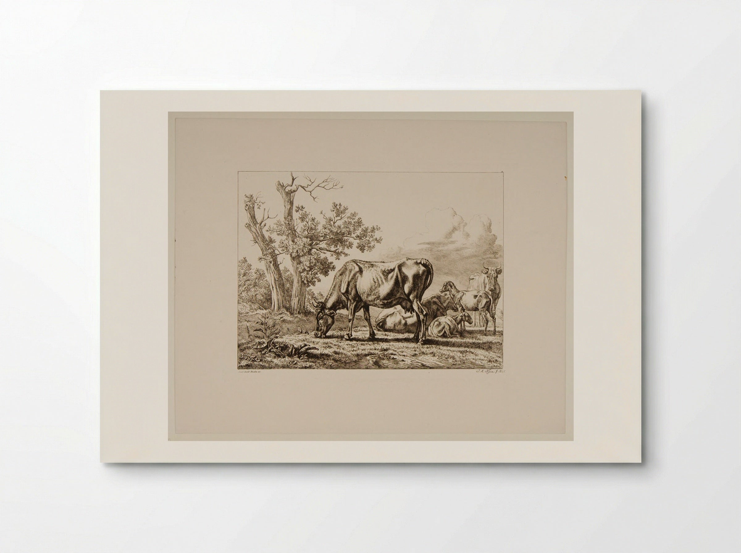 Cows and Sheep - Johann Adam Klein - Poster