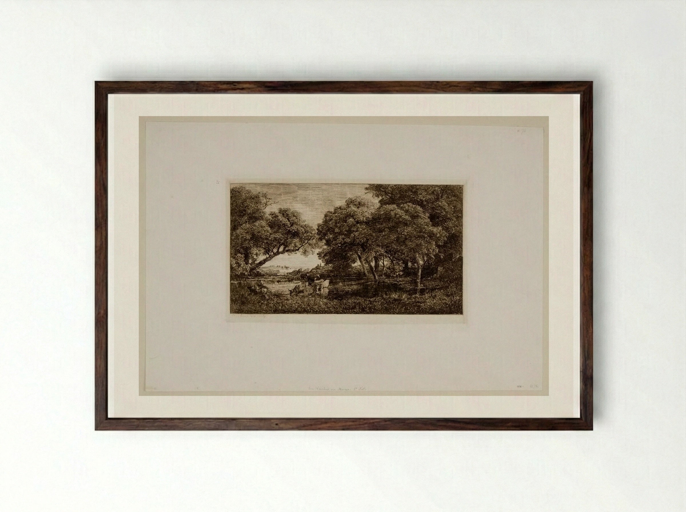 Cows in a Marsh - Charles-François Daubigny - Framed Print Dark Wood