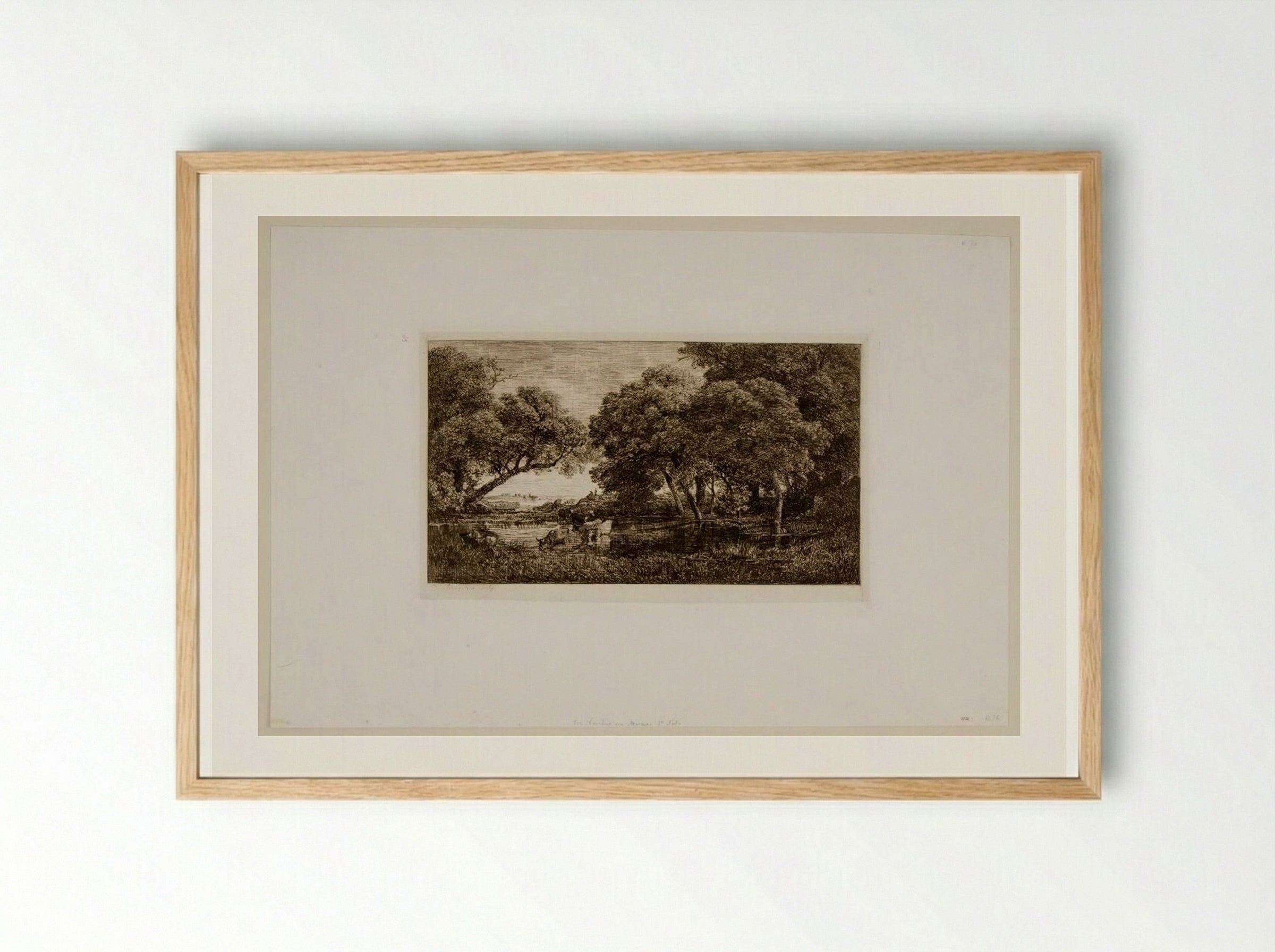 Cows in a Marsh - Charles-François Daubigny - Framed Print Wood