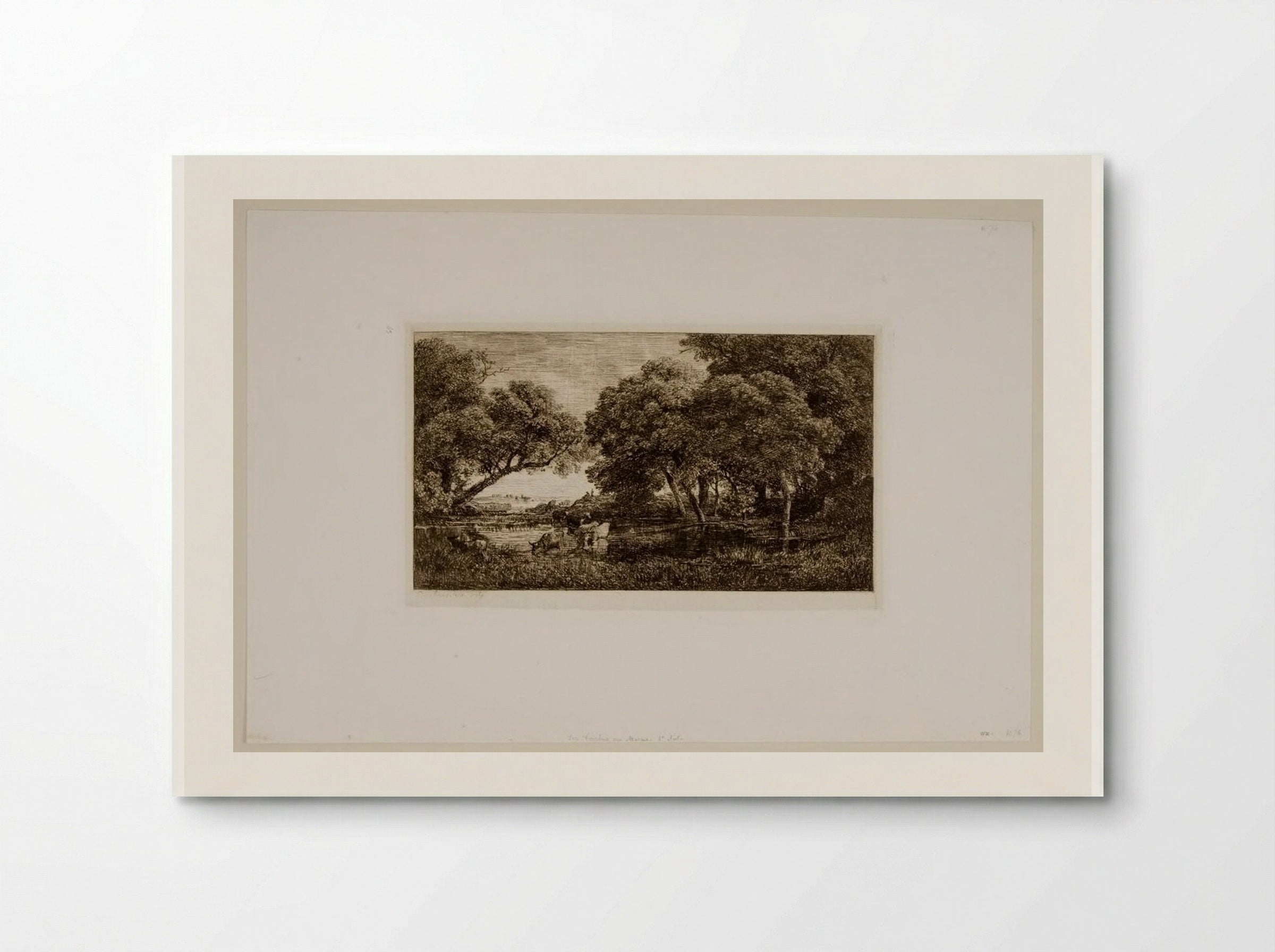 Cows in a Marsh - Charles-François Daubigny - Poster