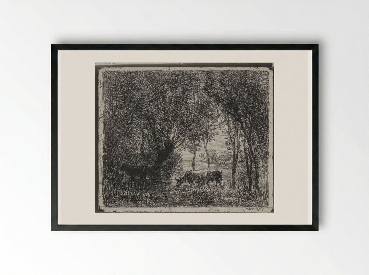 Cows in the Woods - Charles François Daubigny - Framed Print Black