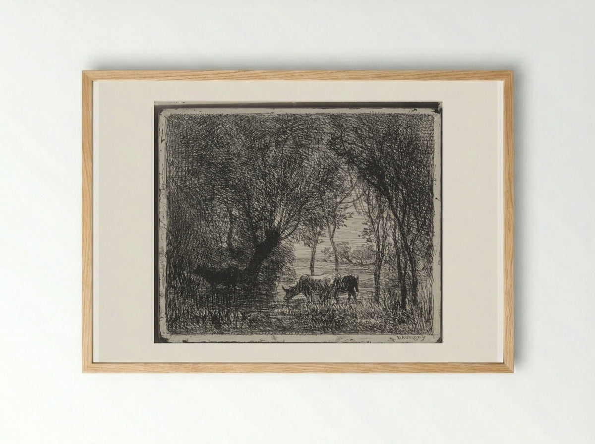 Cows in the Woods - Charles François Daubigny - Framed Print Wood
