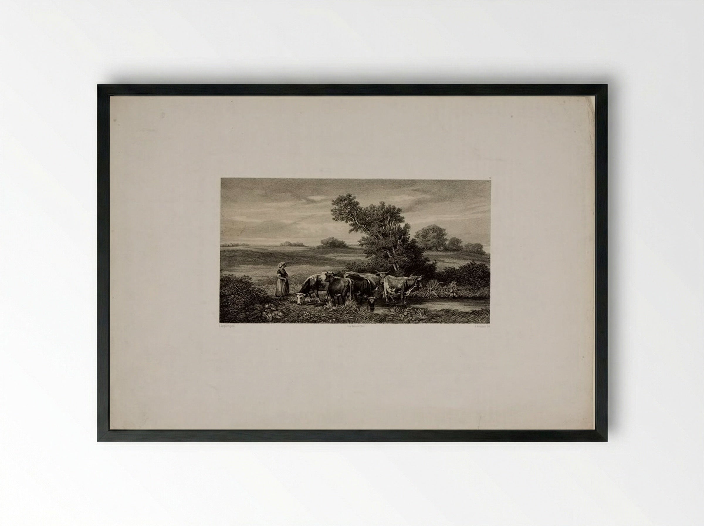 Cows - Auguste Paul Charles Anastasi - Framed Print Black