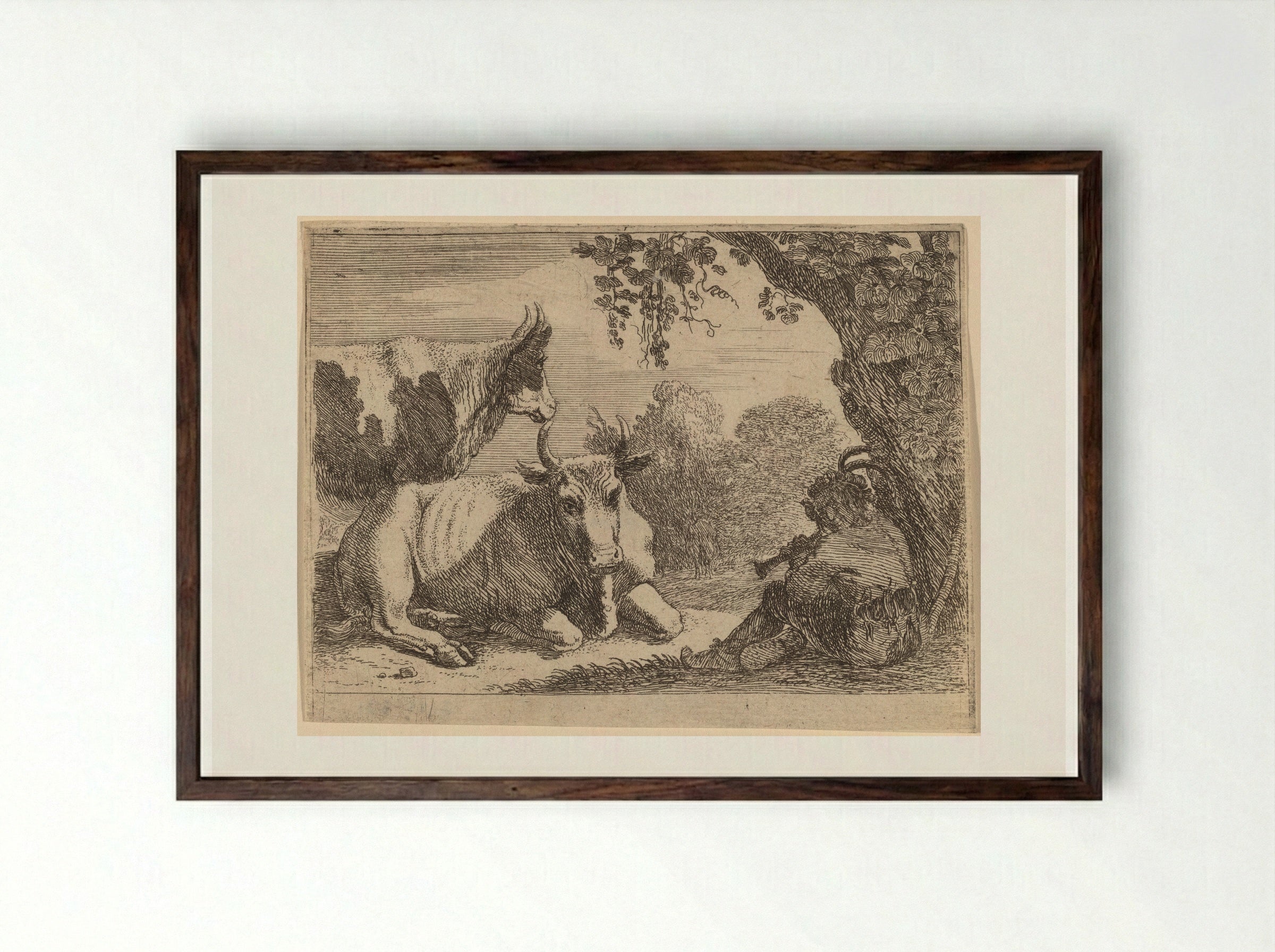 Cows - Herman van Swanevelt - Framed Print Dark Wood