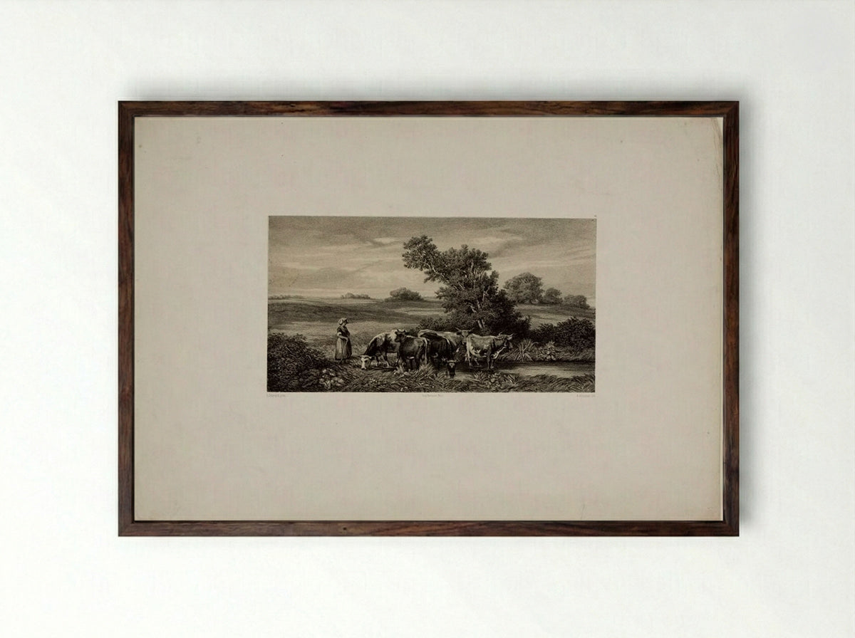 Cows - Auguste Paul Charles Anastasi - Framed Print Dark Wood