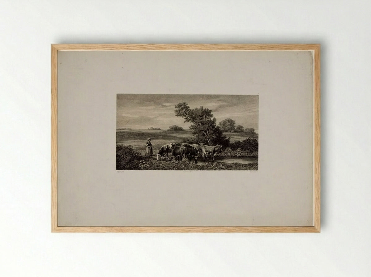 Cows - Auguste Paul Charles Anastasi - Framed Print Wood