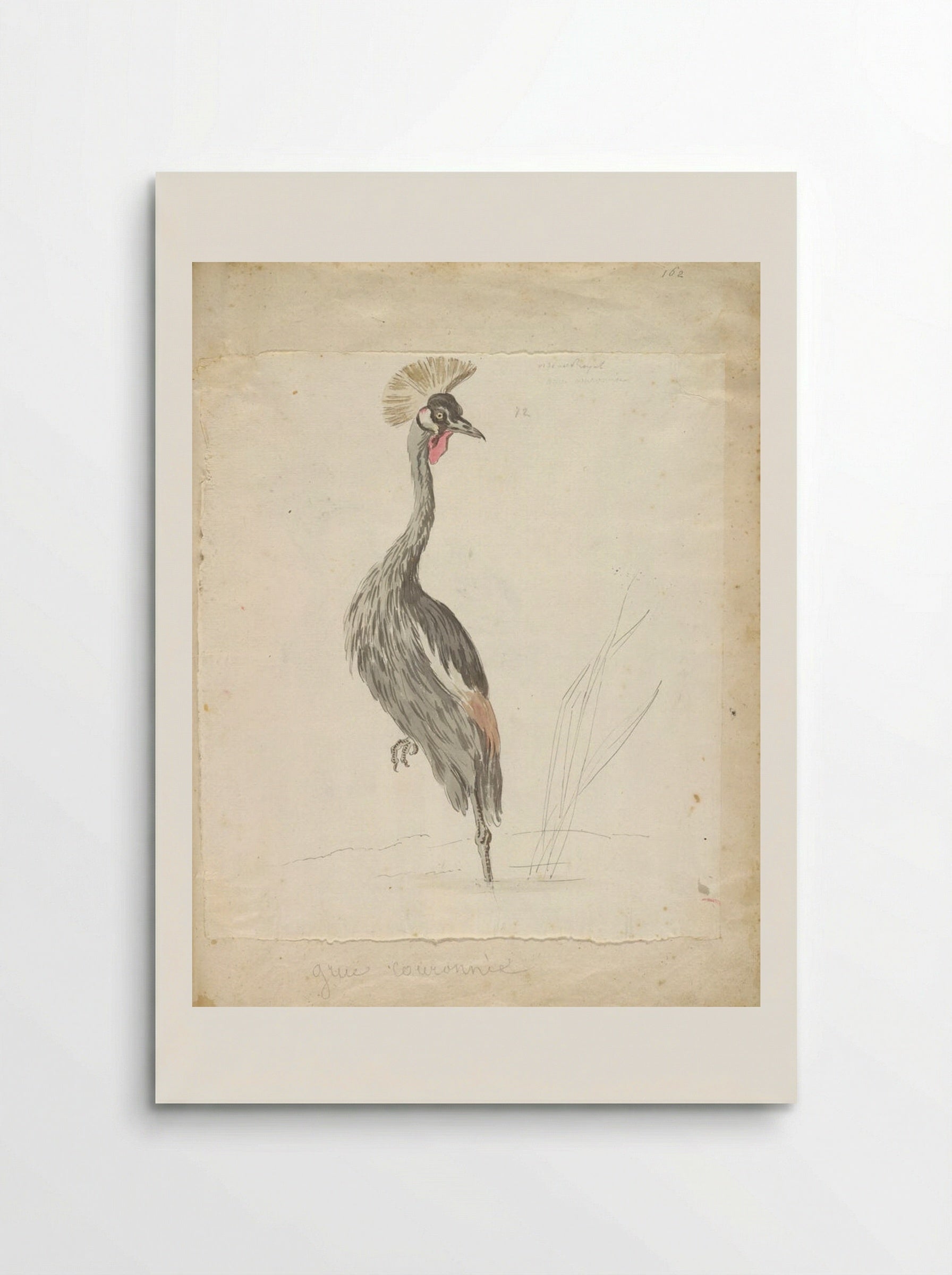 Crane Looking to the Left - Jean-Baptiste Oudry - Poster
