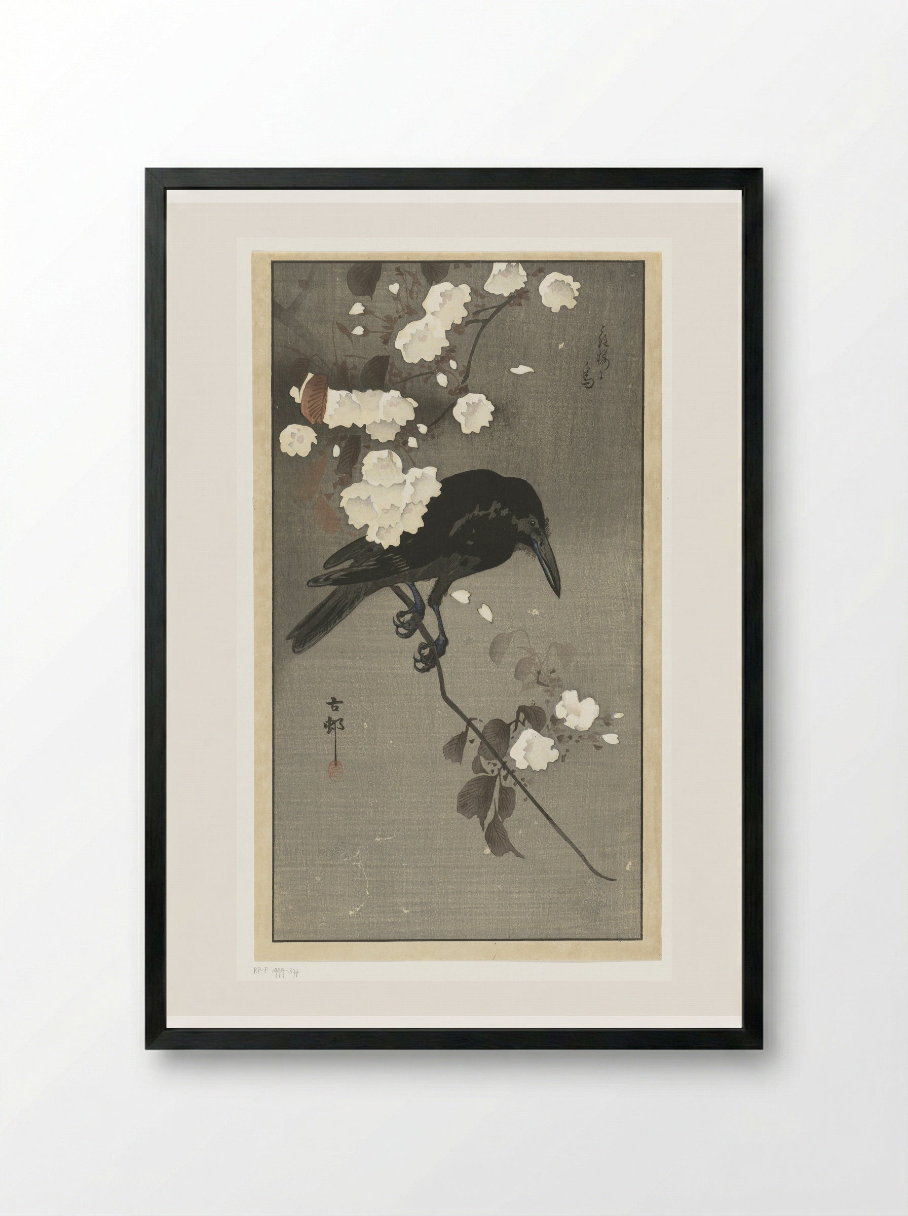 Crow on a Cherry Blossom Branch - Matsuki Heikichi - Framed Print Black