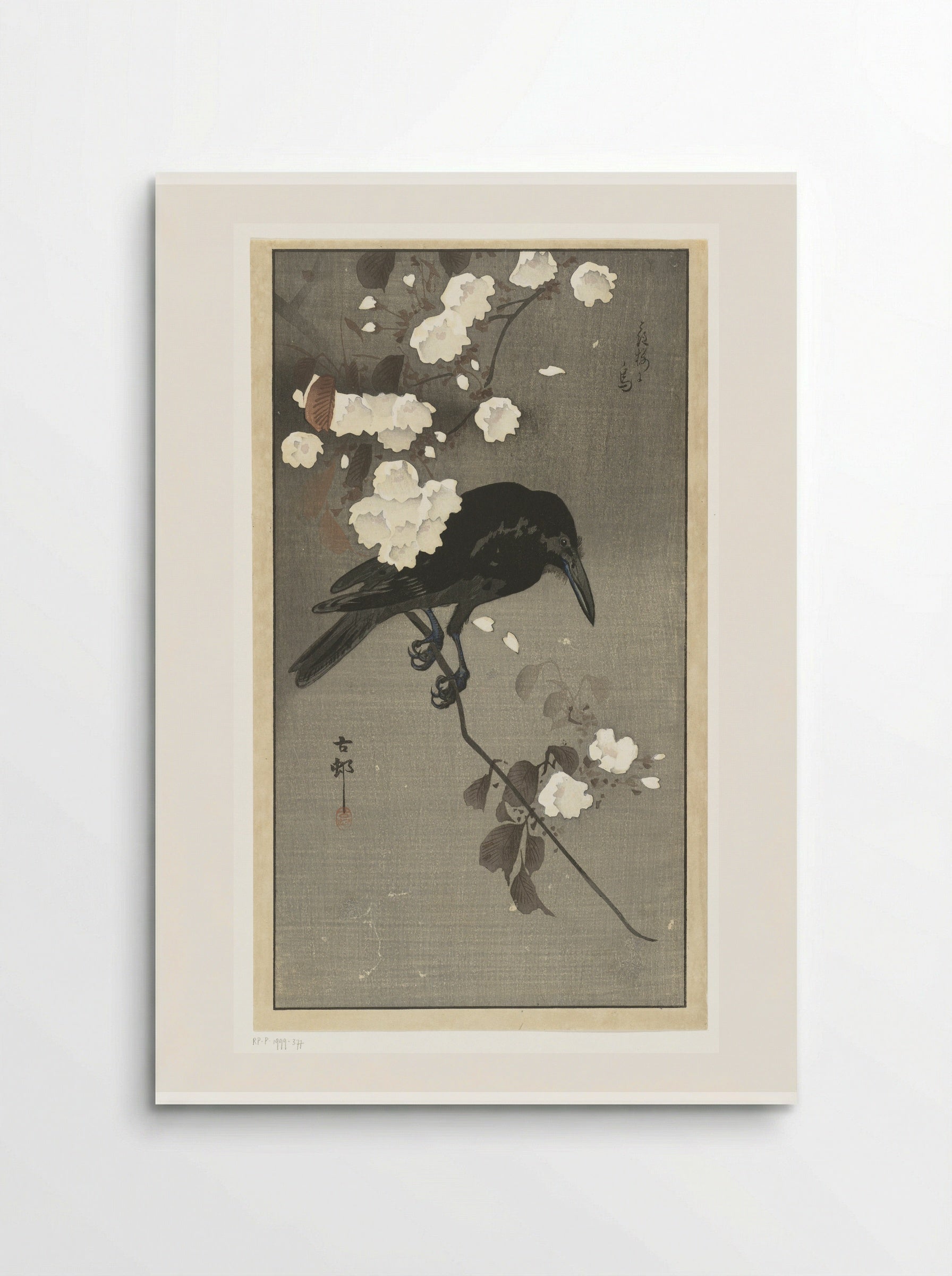 Crow on a Cherry Blossom Branch - Matsuki Heikichi - Poster