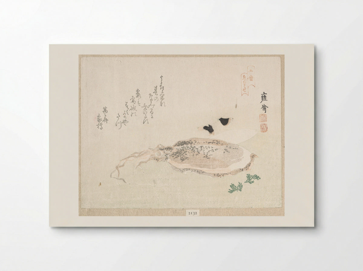 Cuttle Fish - Kikuchi Yōsai - Poster