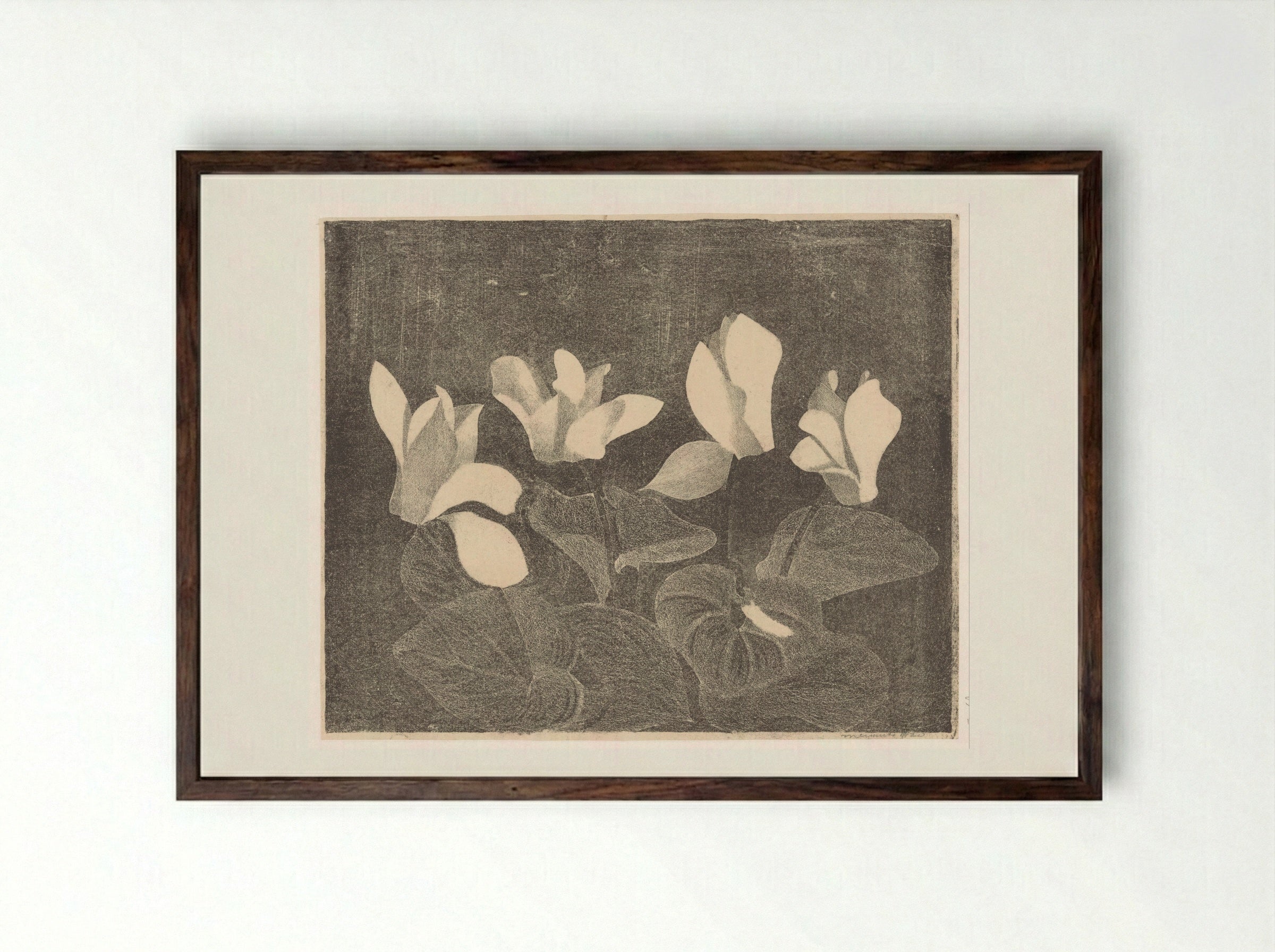 Cyclamen - Samuel Jessurun de Mesquita - Framed Print Dark Wood
