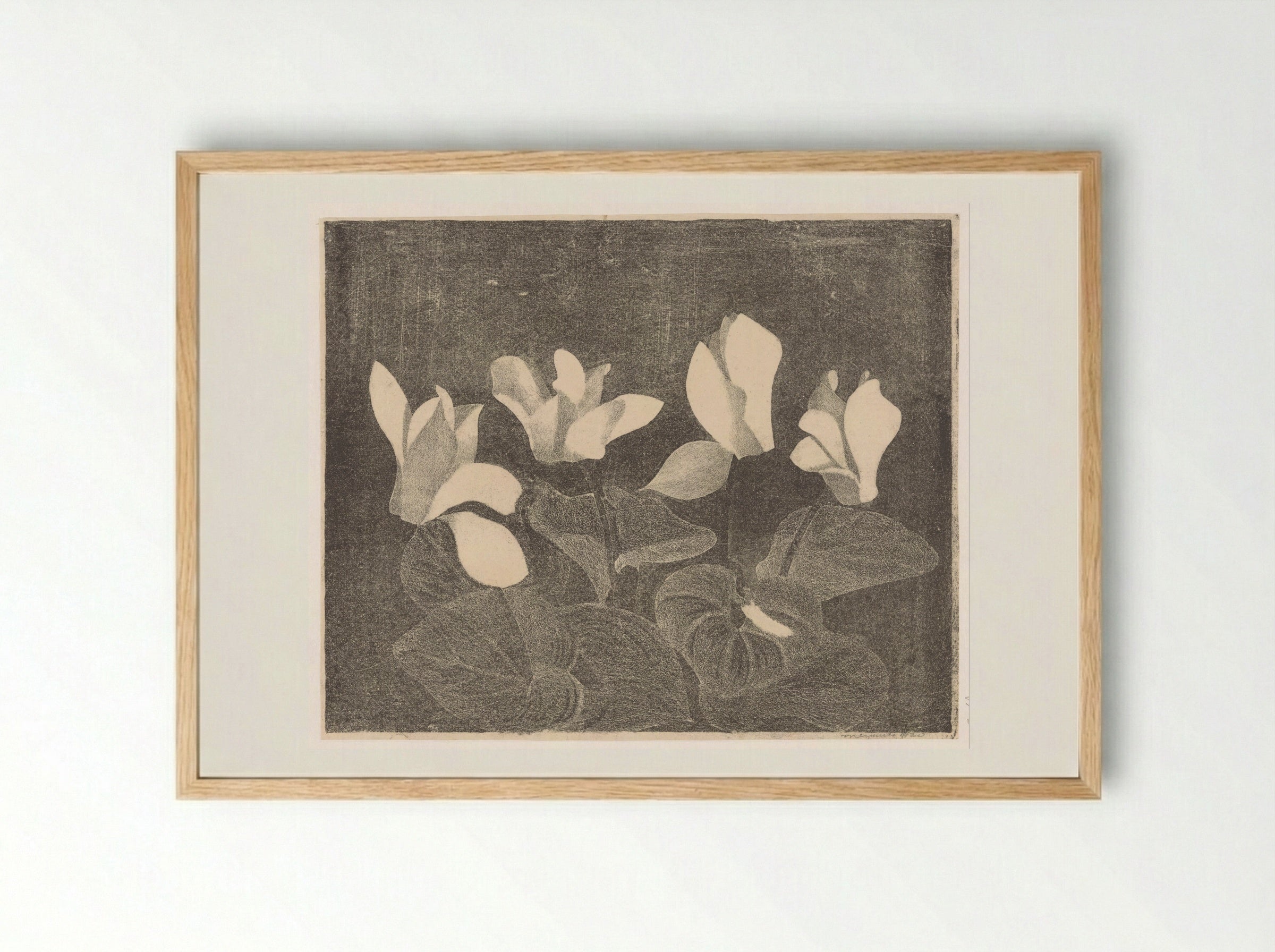 Cyclamen - Samuel Jessurun de Mesquita - Framed Print Wood