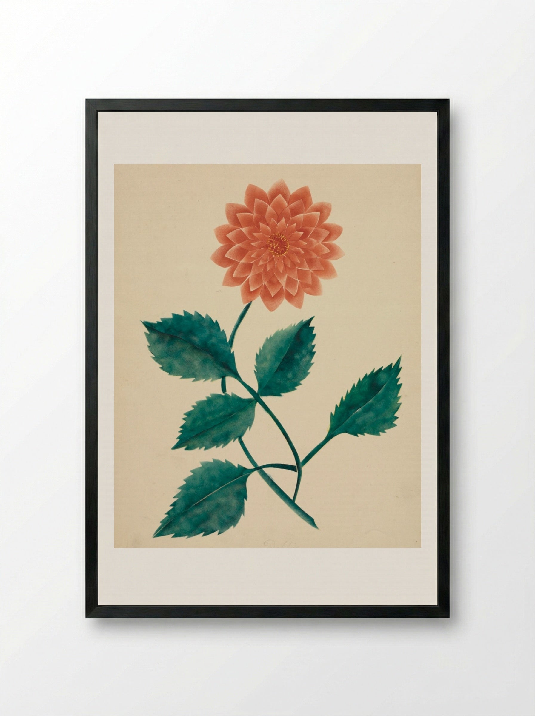 Dahlia - Mary Altha Nims - Framed Print Black