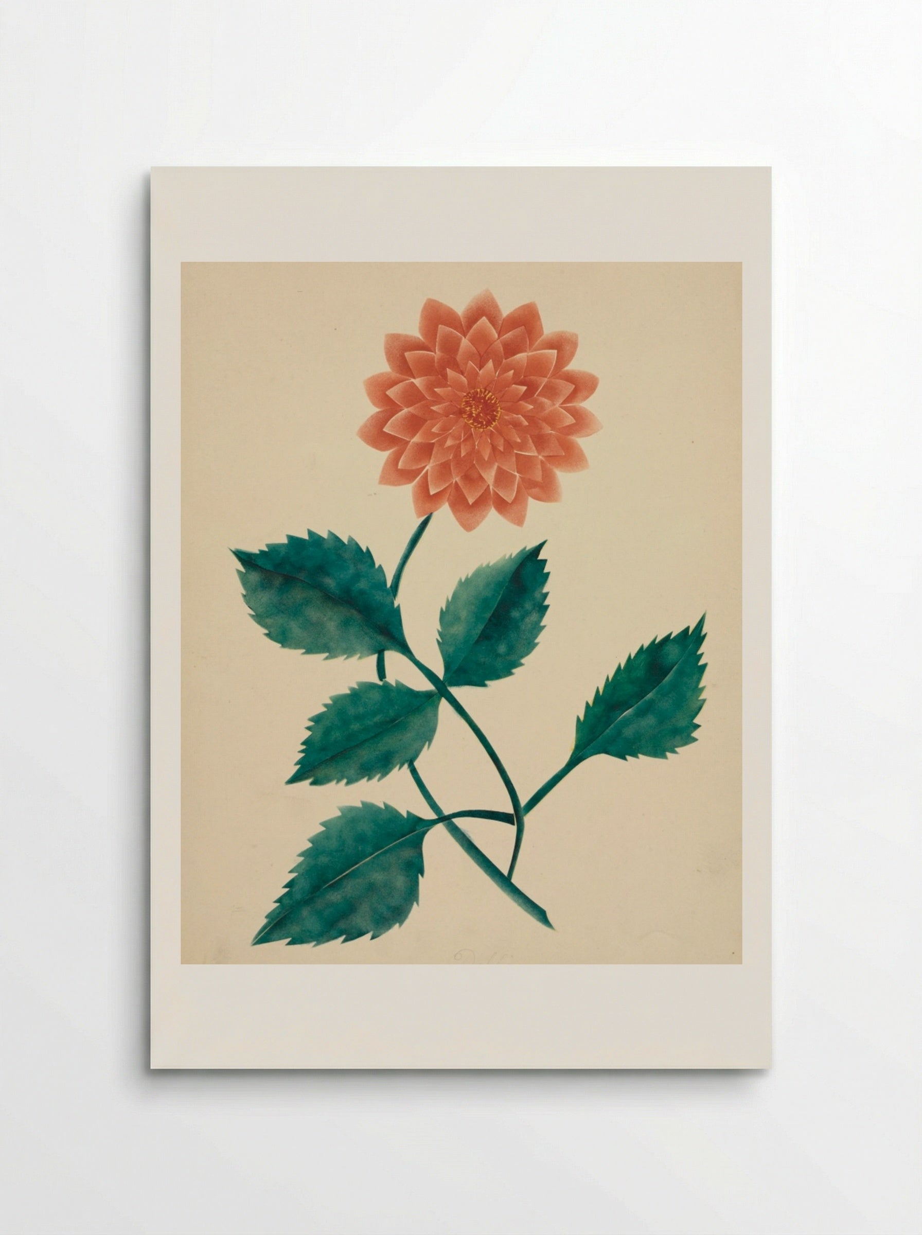 Dahlia - Mary Altha Nims - Poster