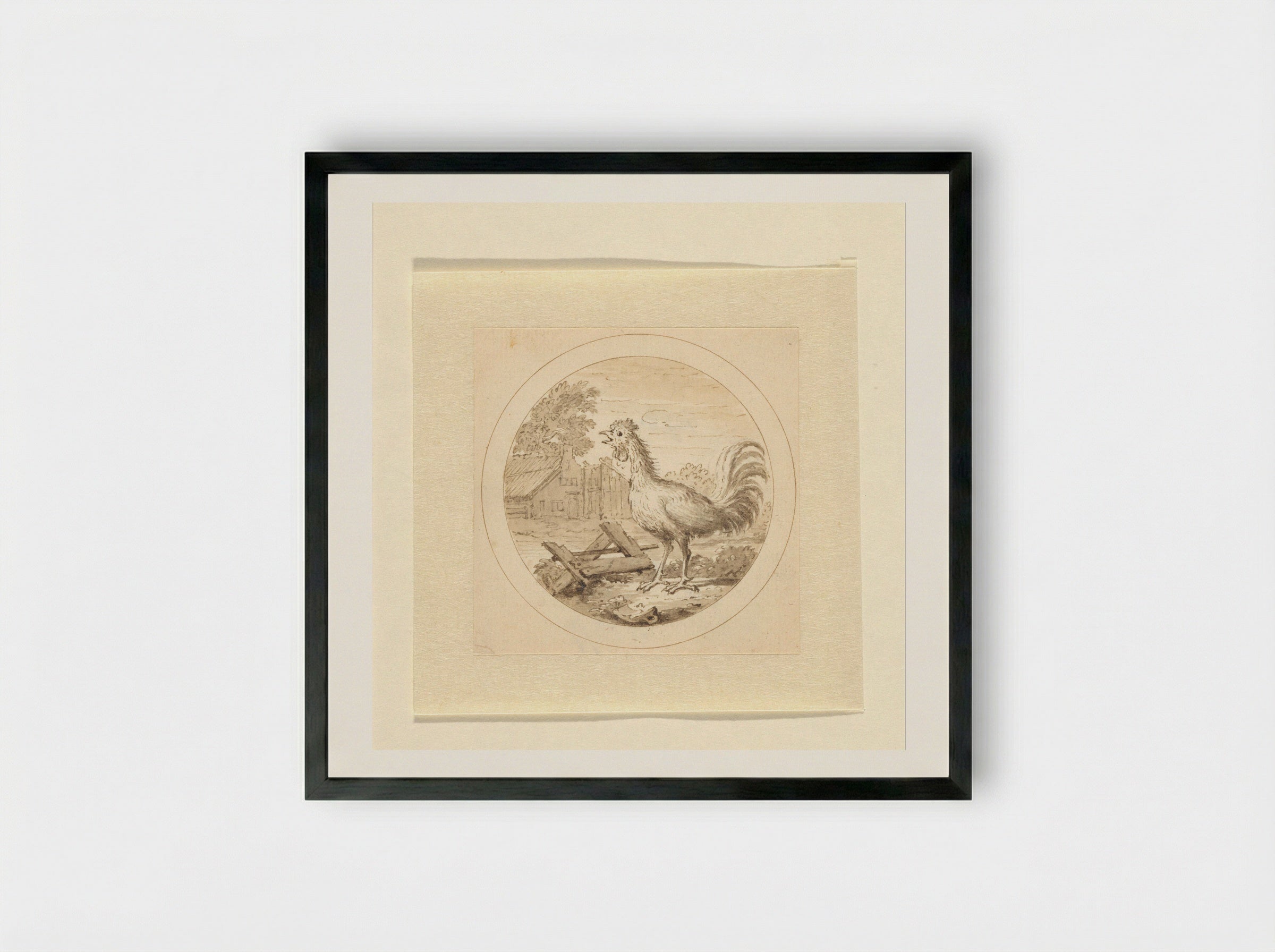 De Haan (The Rooster) - Arnold Houbraken - Framed Print Black