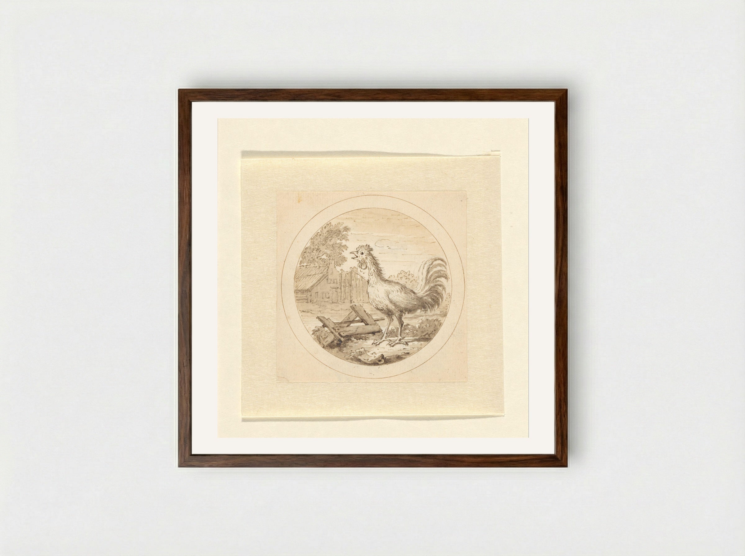 De Haan (The Rooster) - Arnold Houbraken - Framed Print Dark Wood