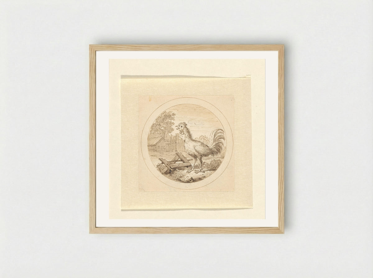 De Haan (The Rooster) - Arnold Houbraken - Framed Print Wood