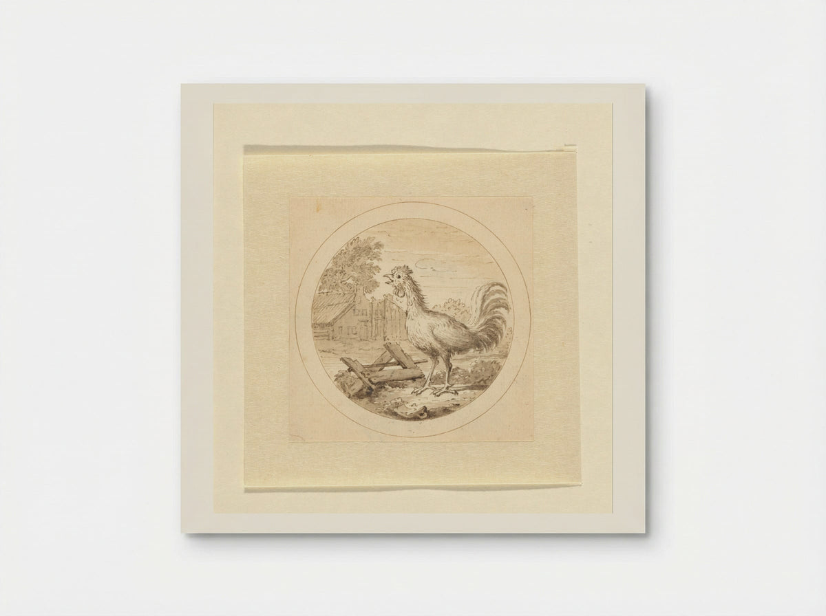 De Haan (The Rooster) - Arnold Houbraken - Poster