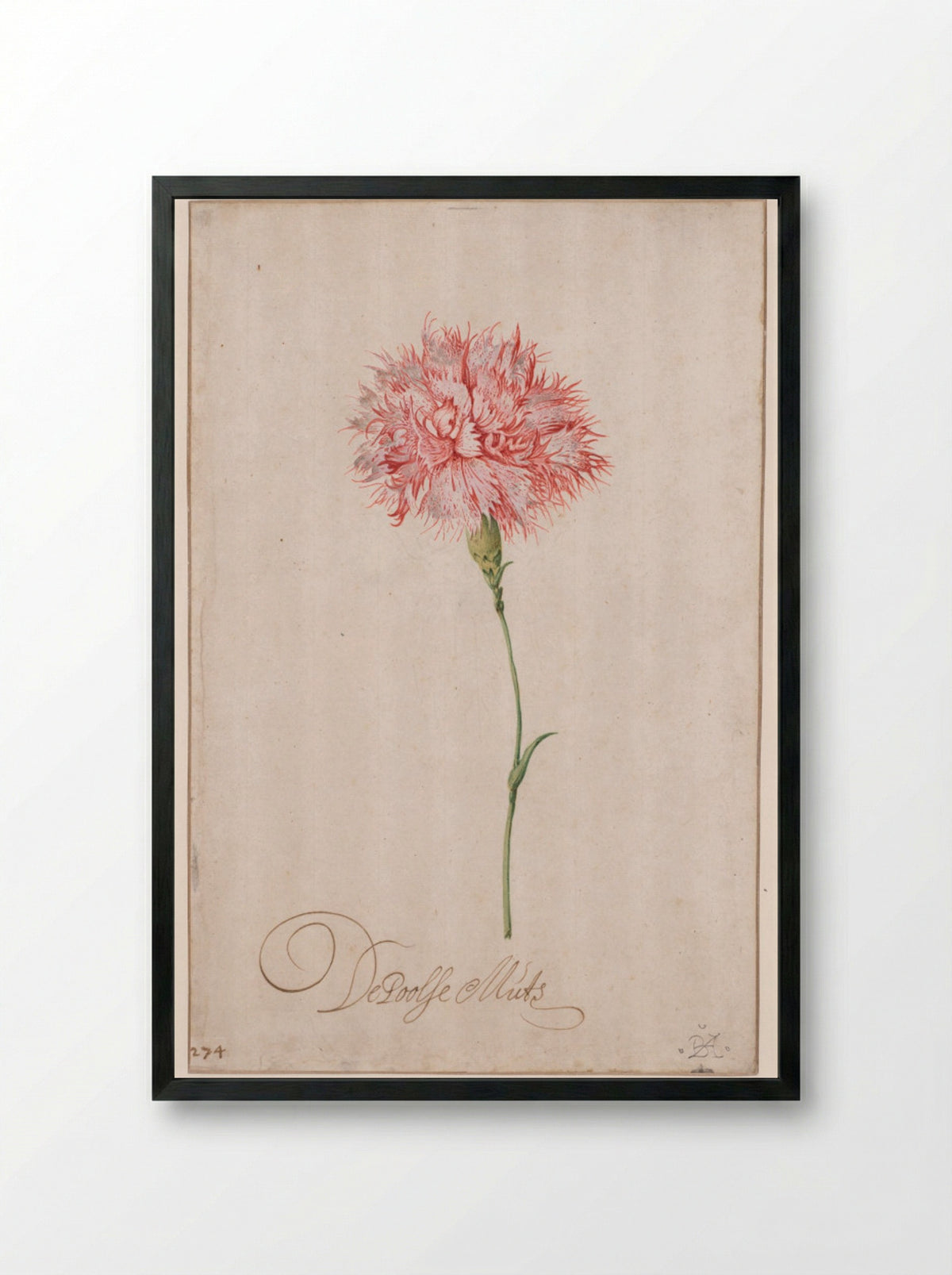 De Poolse Muts - Balthasar van der Ast - Framed Print Black