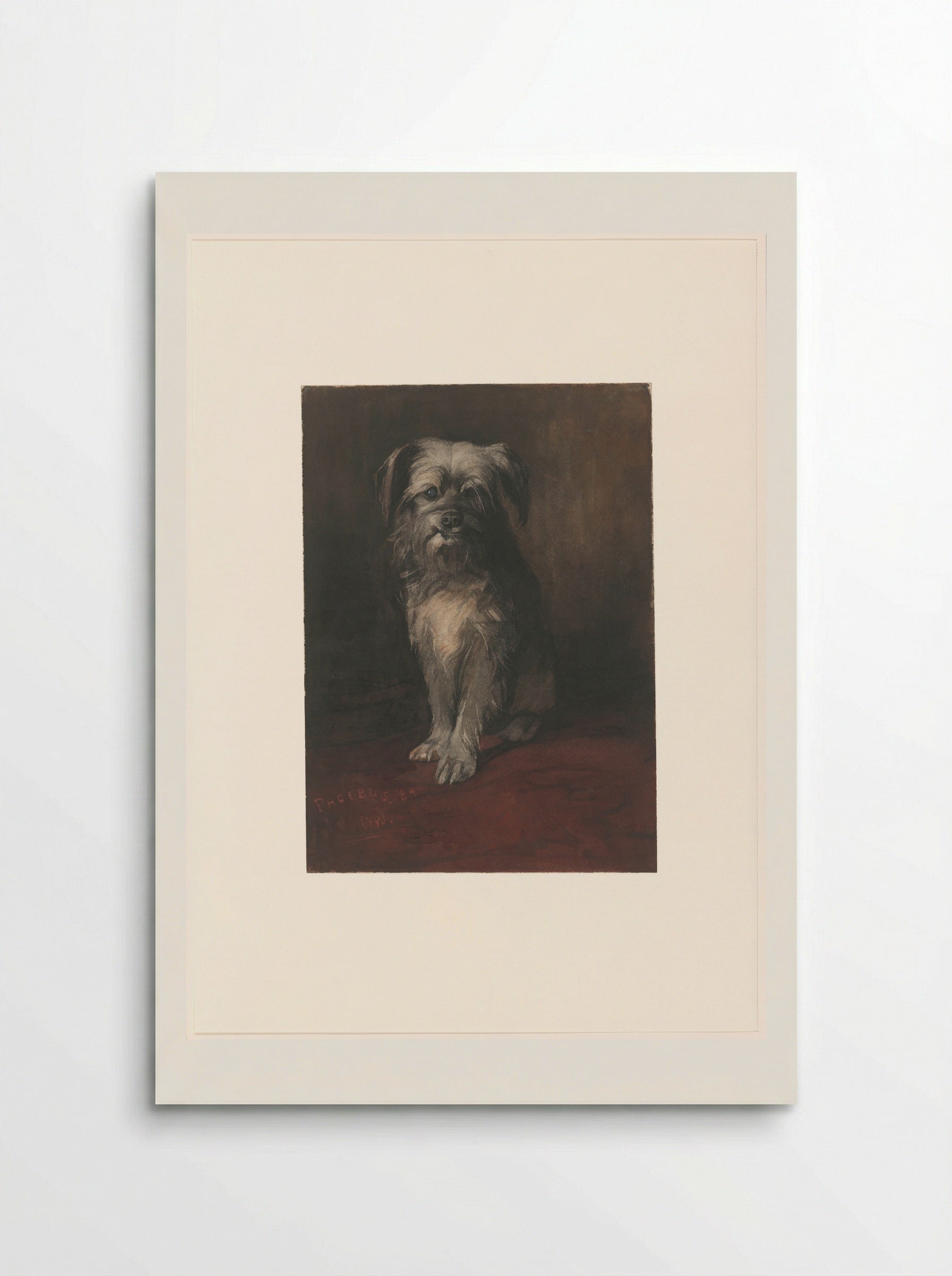 De hond Phoebus - Willem Witsen - Poster