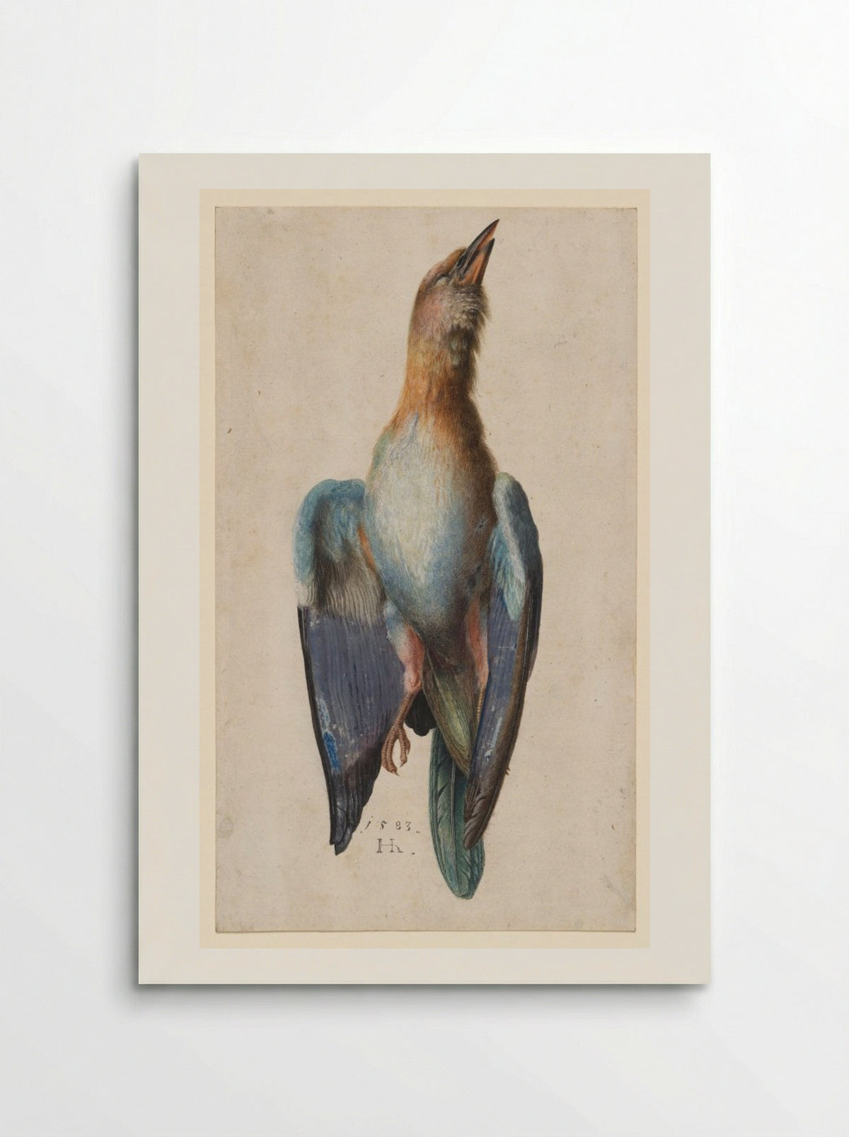 Dead Blue Roller - Hans Hoffmann - Poster