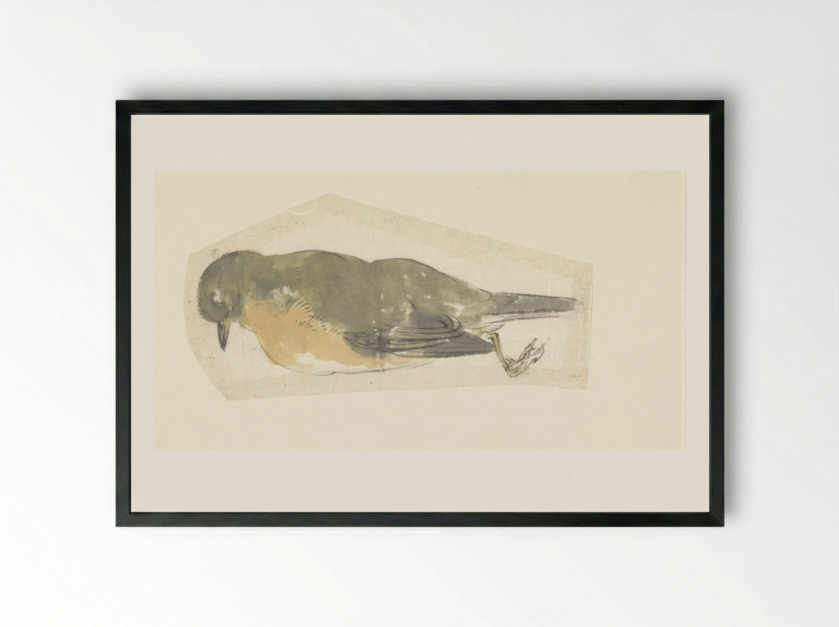 Dead Robin - Yamamoto Baiitsu - Framed Print Black
