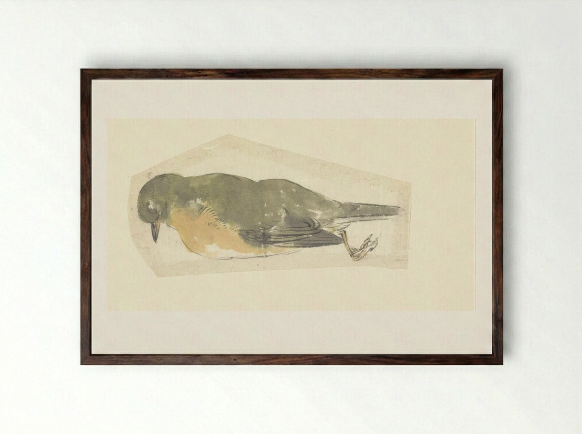 Dead Robin - Yamamoto Baiitsu - Framed Print Dark Wood