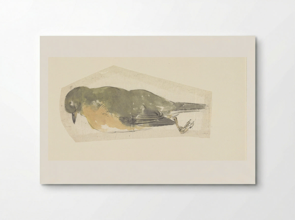 Dead Robin - Yamamoto Baiitsu - Poster
