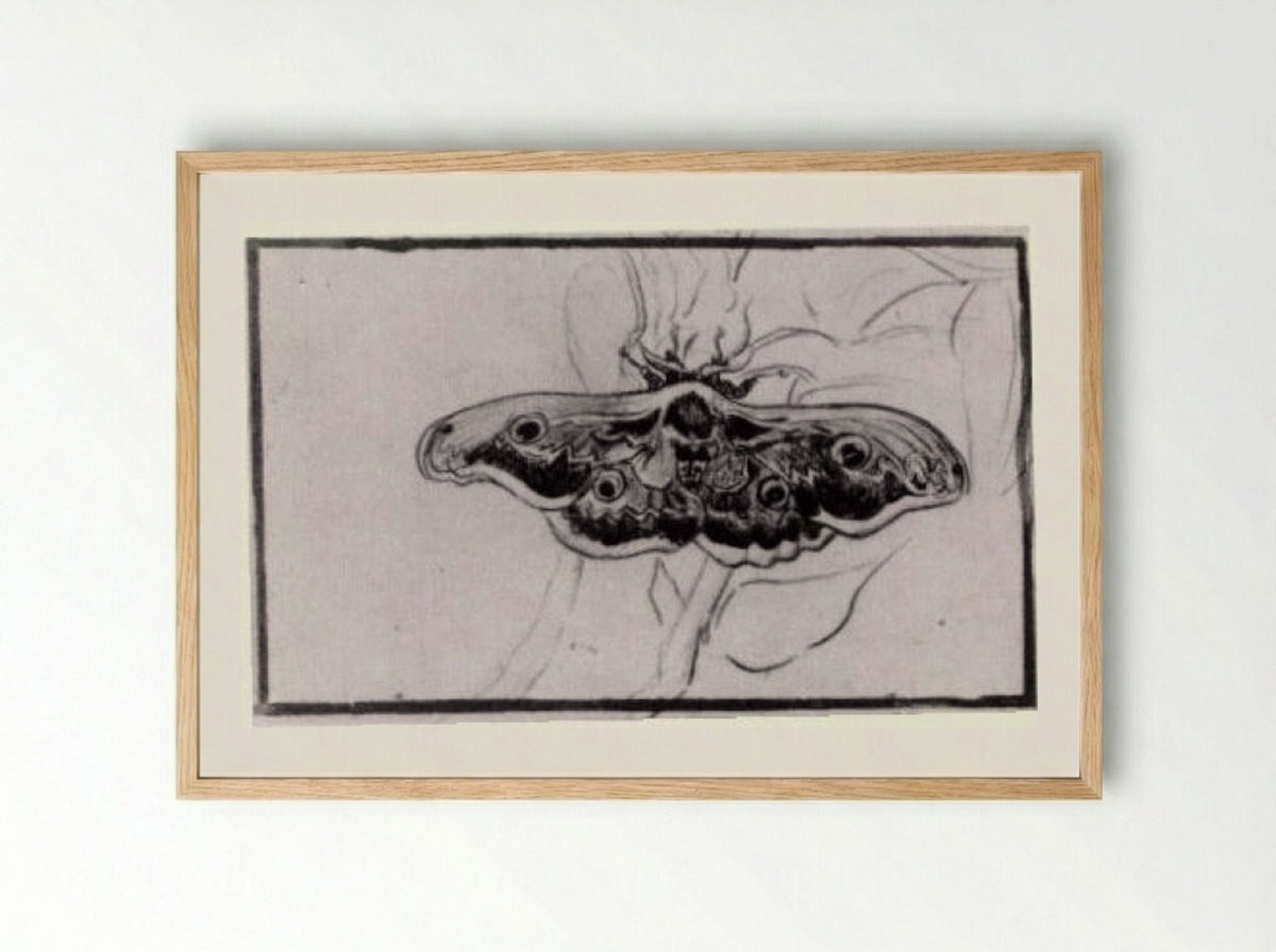 Death's Head Moth - Vincent van Gogh - Framed Print Wood