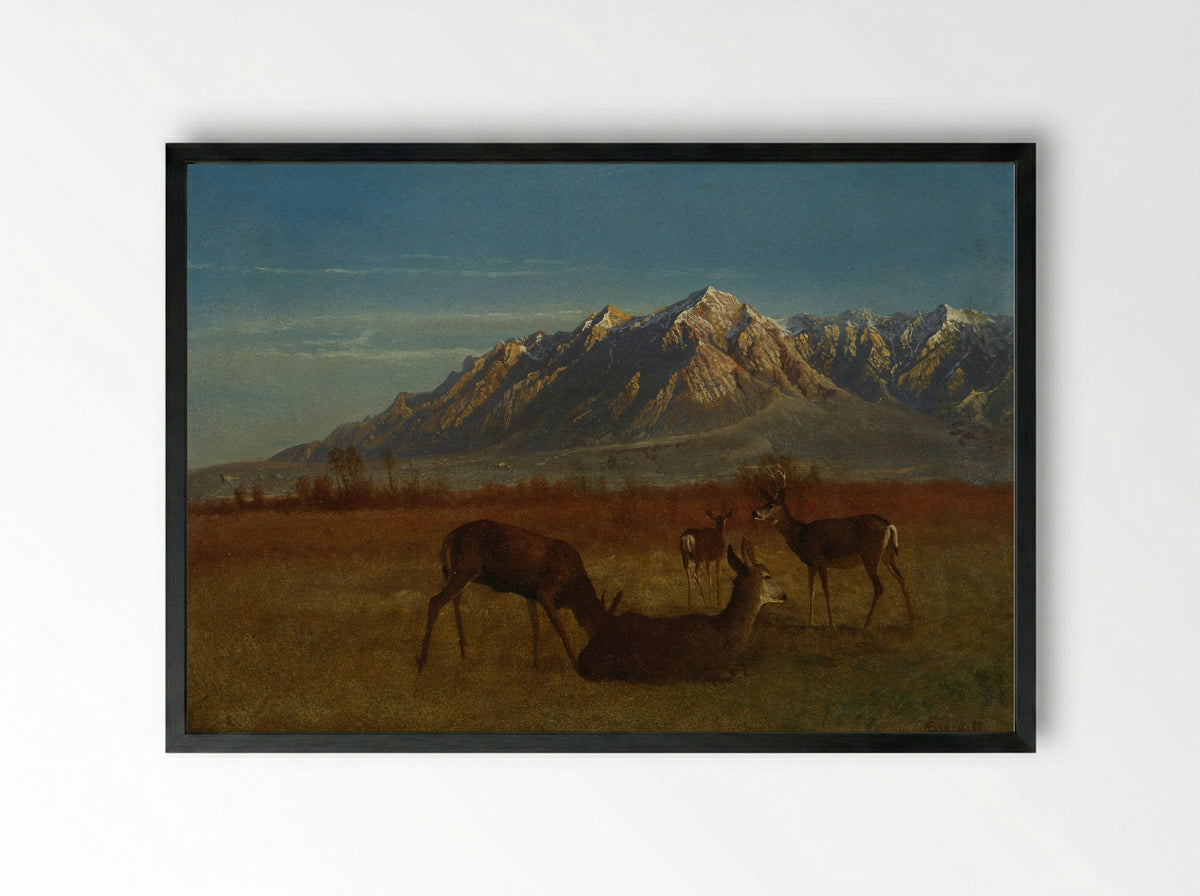 Deer in a Mountain Home - Albert Bierstadt - Framed Print Black