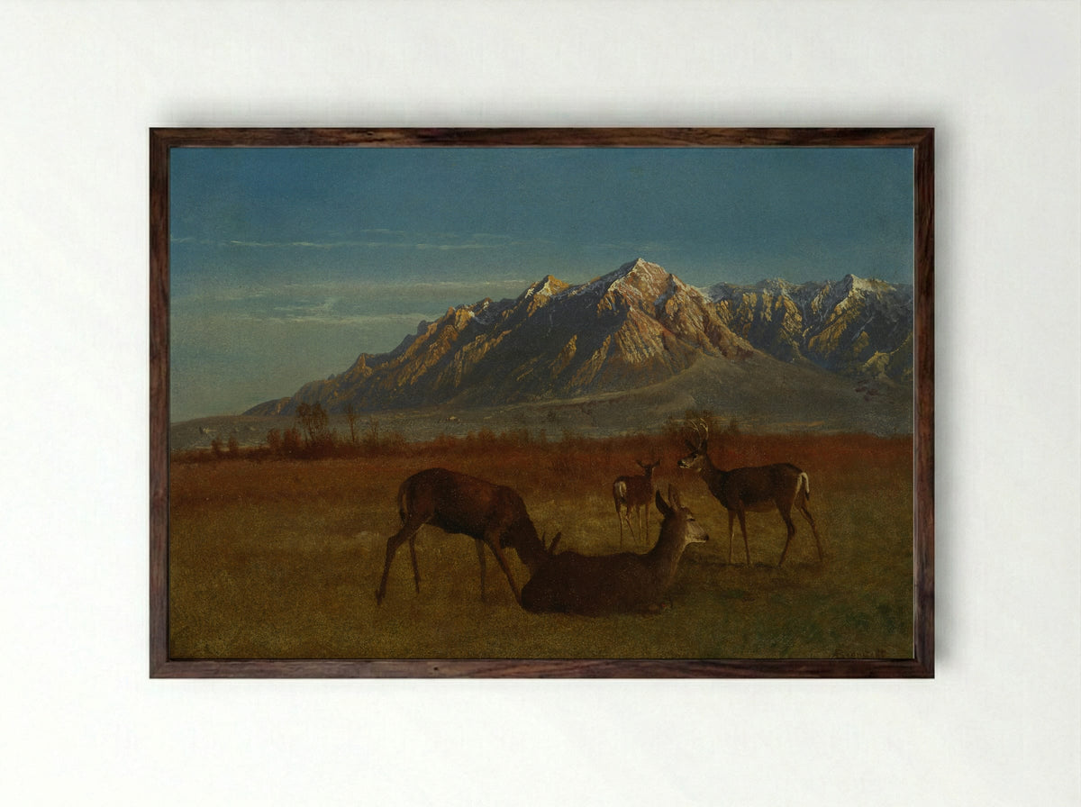Deer in a Mountain Home - Albert Bierstadt - Framed Print Dark Wood