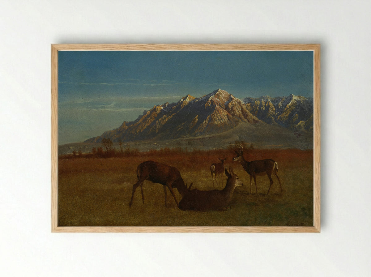 Deer in a Mountain Home - Albert Bierstadt - Framed Print Wood