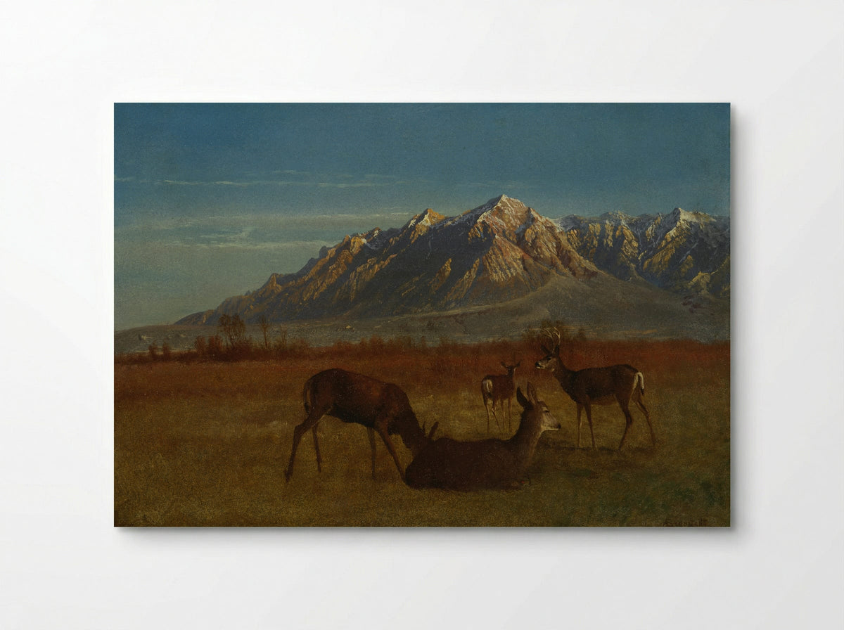 Deer in a Mountain Home - Albert Bierstadt - Poster