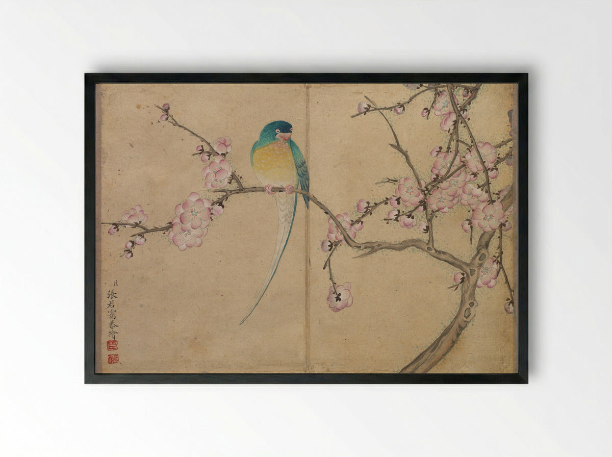Desk Album: Flower and Bird Paintings (Bird with Plum Blossoms) - Zhang Ruoai - Framed Print Black