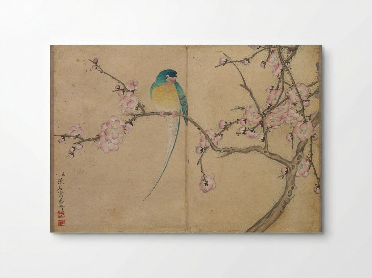 Desk Album: Flower and Bird Paintings (Bird with Plum Blossoms) - Zhang Ruoai - Poster